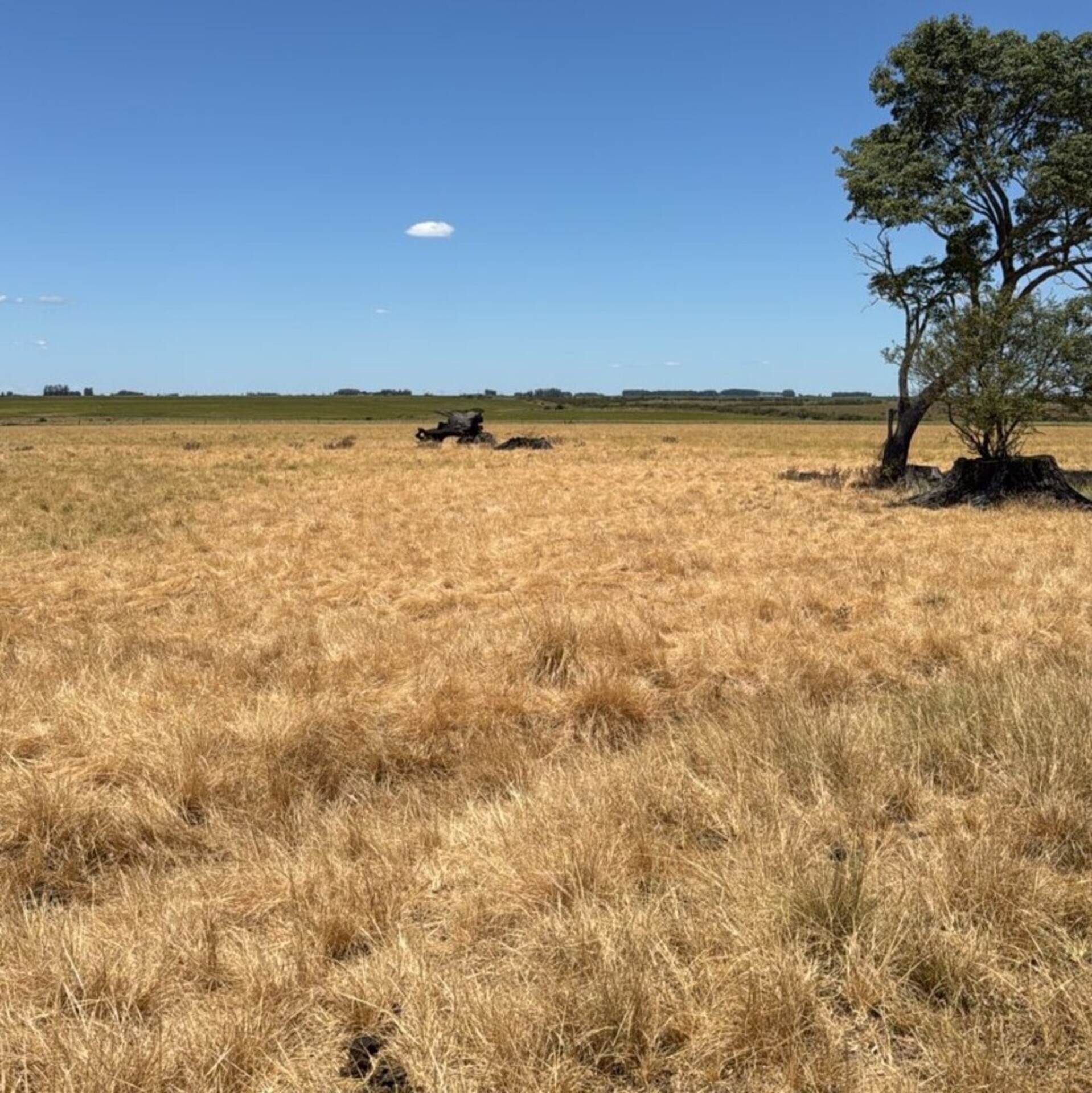 OAB Barro Preto - Uruguaiana e mais 64 municípios tem situação de emergência reconhecida pela União