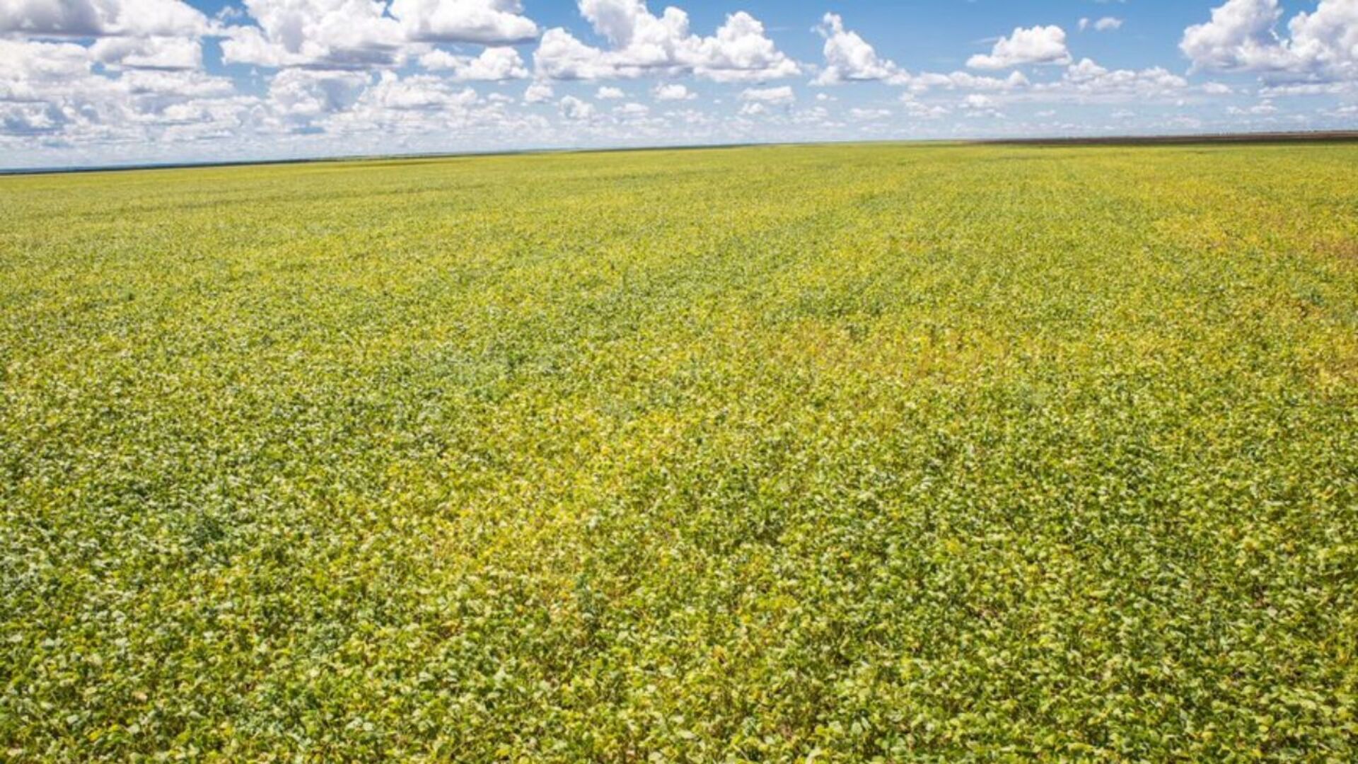 OAB Barro Preto - Conselho Monetário Nacional Amplia Normas do Manual de Crédito Rural