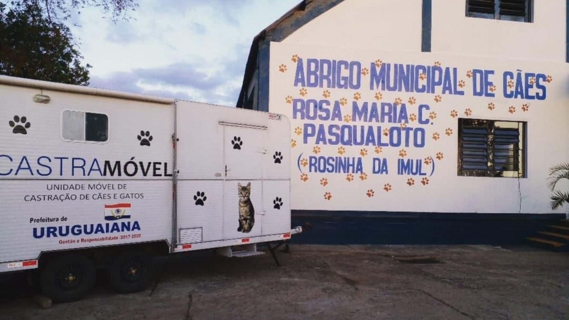 OAB Barro Preto - Meio Ambiente busca zerar fila por castrações