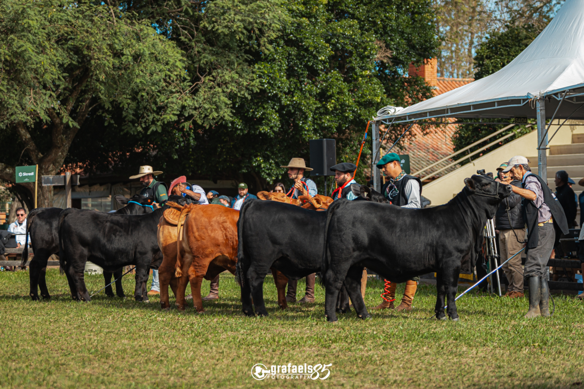 OAB Barro Preto - Uruguaiana sediará ExpoBrangus 2025