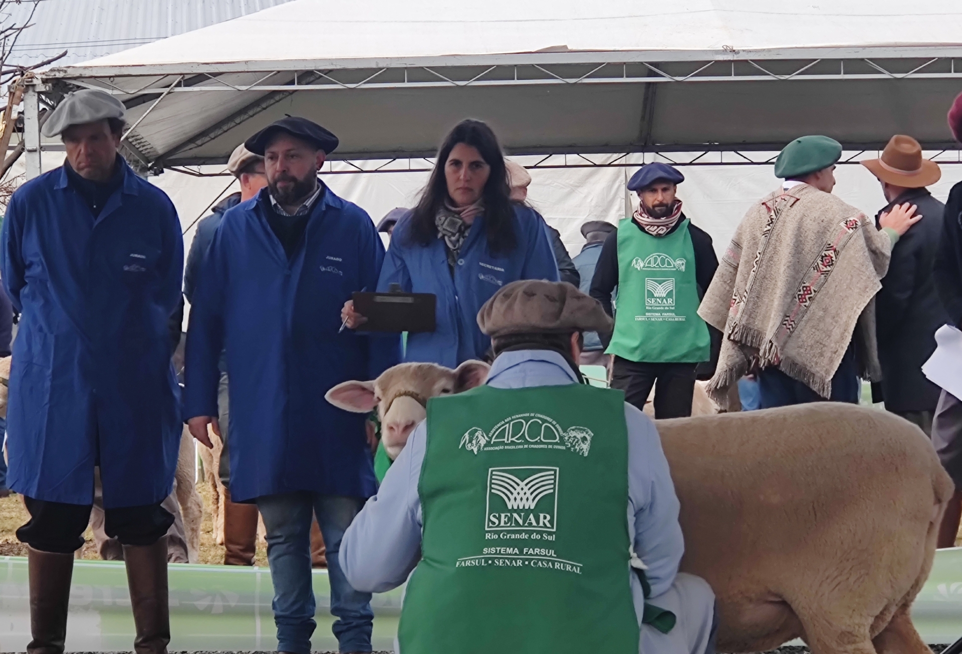 OAB Barro Preto - Genética e tecnologia impulsionam a Fenovinos 2025