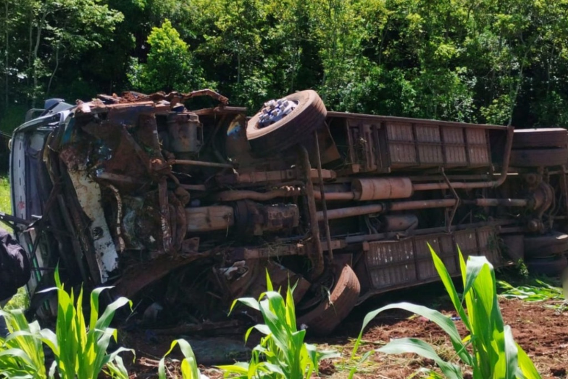 OAB Barro Preto - Ônibus da UFSM tomba com 35 estudantes e deixa sete mortos