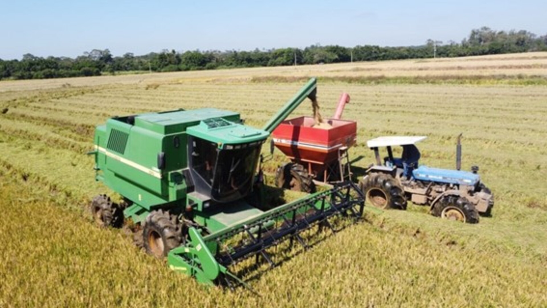 OAB Barro Preto - Mais de 85% da área semeada já foi colhida