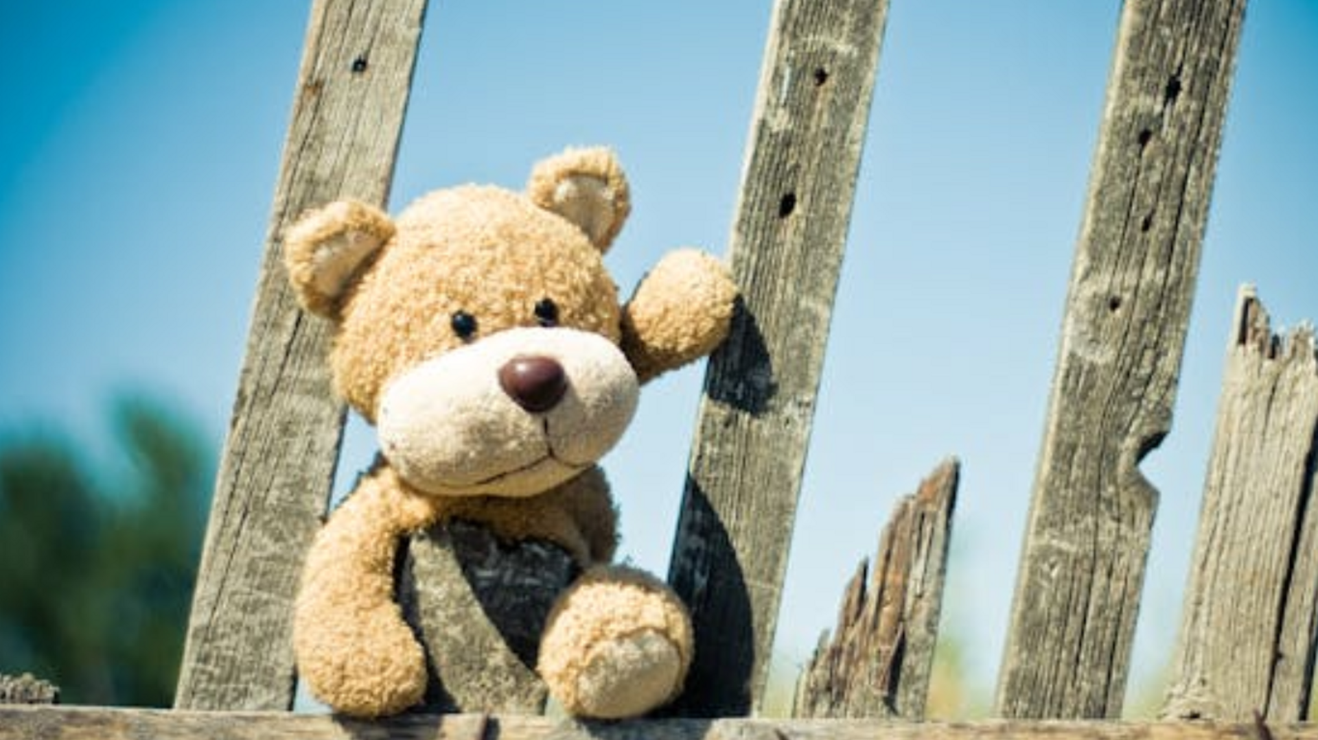 OAB Barro Preto - Condenado por estupro é preso pela Polícia Federal