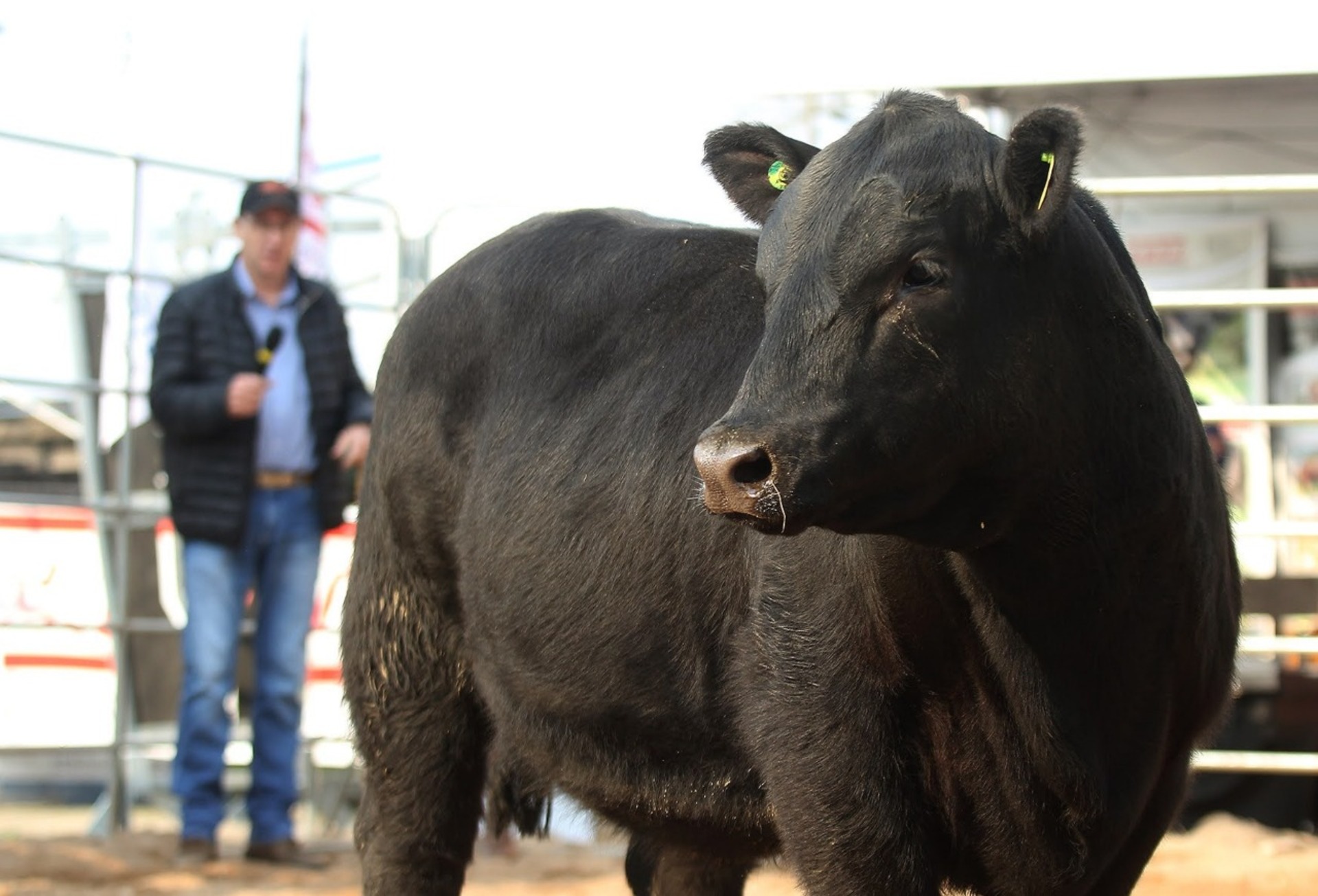 OAB Barro Preto - Segunda edição do 2ª Fenagen Promebo vai contar com palestras e julgamento