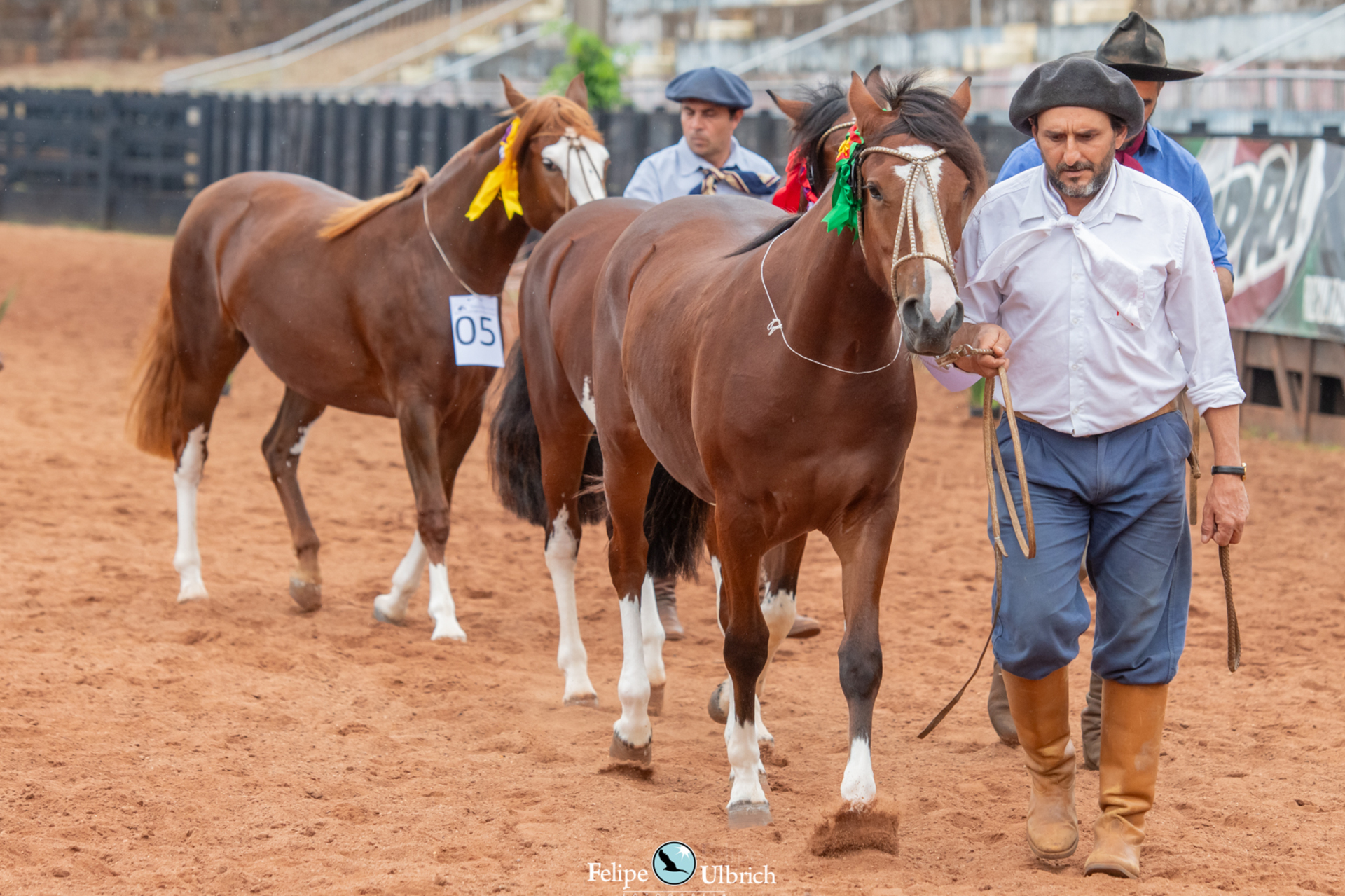 OAB Barro Preto - ABCCC abre inscrições para a Classificatória Gaúcha Sul