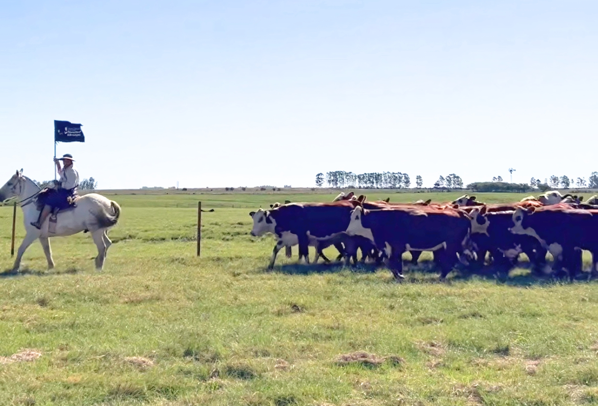 OAB Barro Preto - Fazenda Espinilho recebe abertura da Gira Técnica