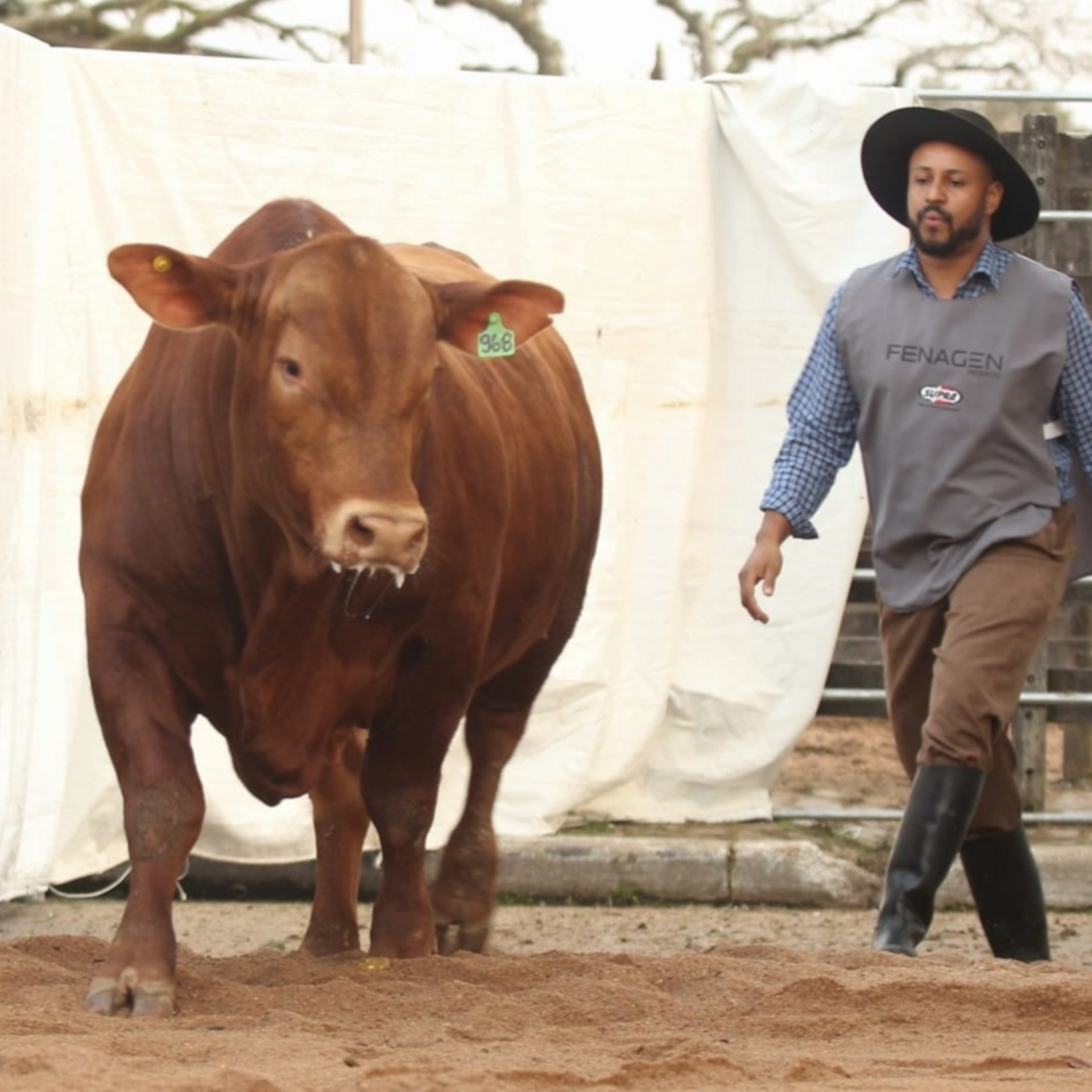 OAB Barro Preto - ANC abre inscrições para a segunda edição da Fenagen Promebo