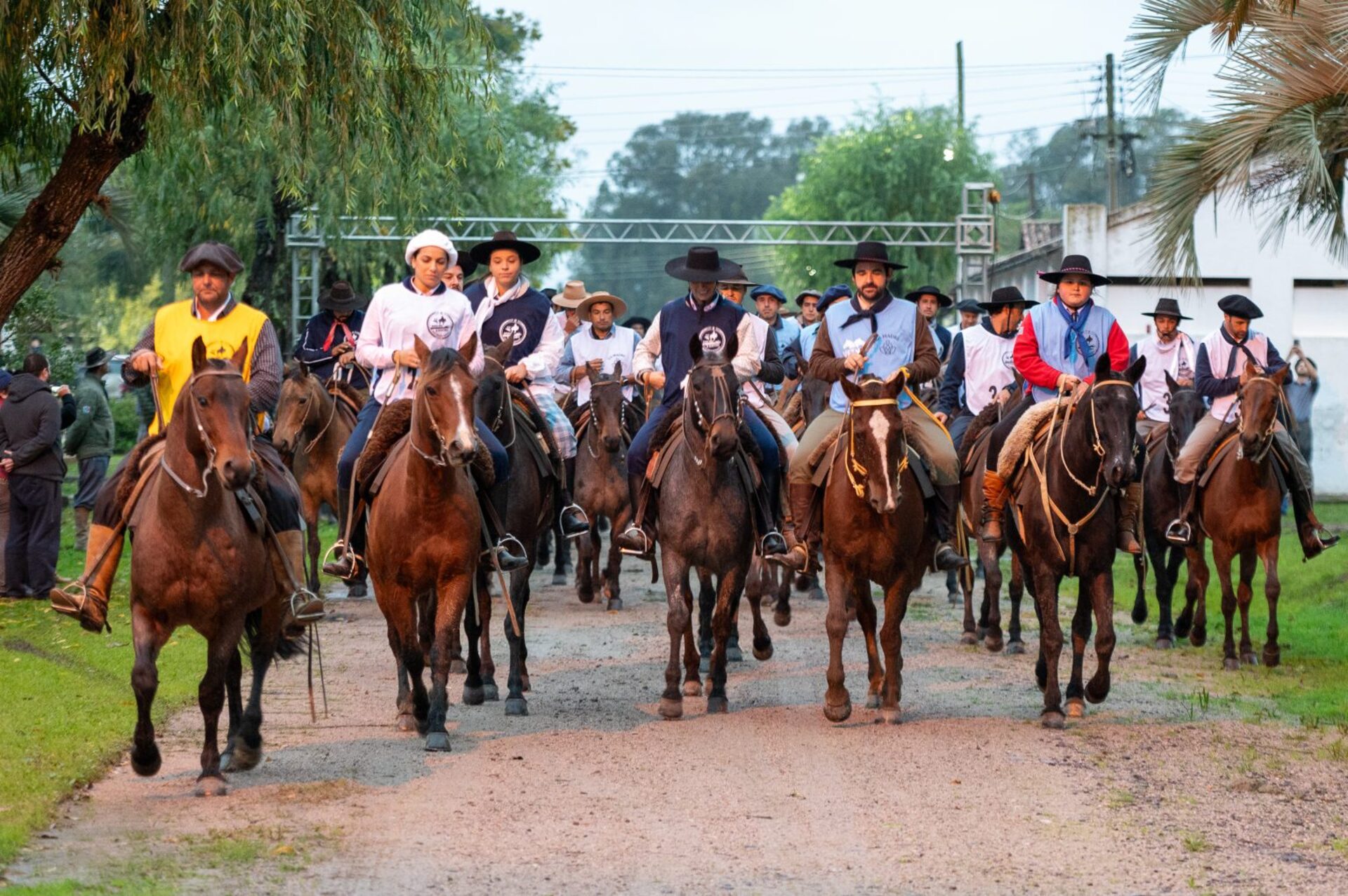 OAB Barro Preto - Animais da Marcha de Resistência já estão concentrados