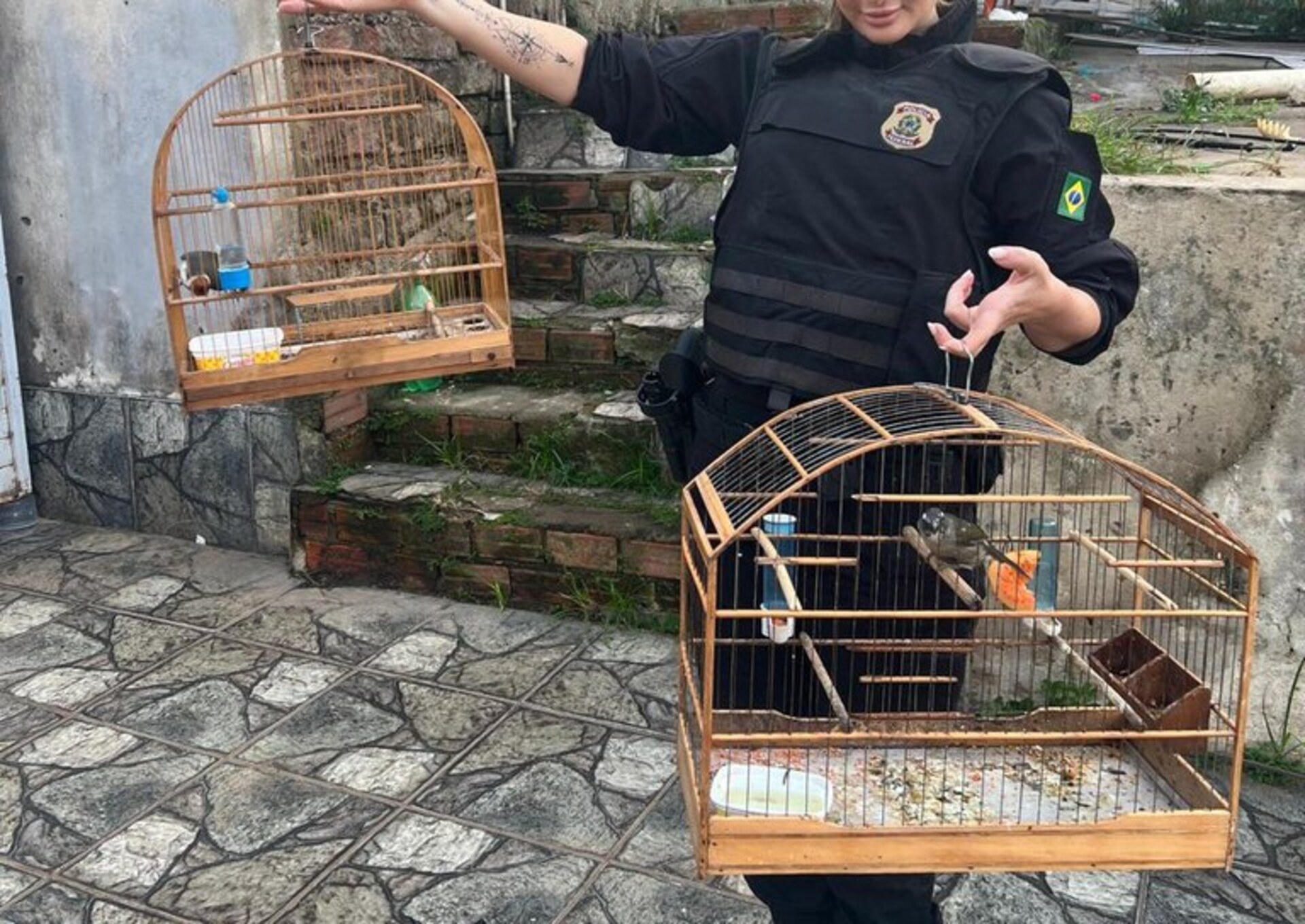 OAB Barro Preto - Operação da Polícia Federal combate tráfico internacional de animais