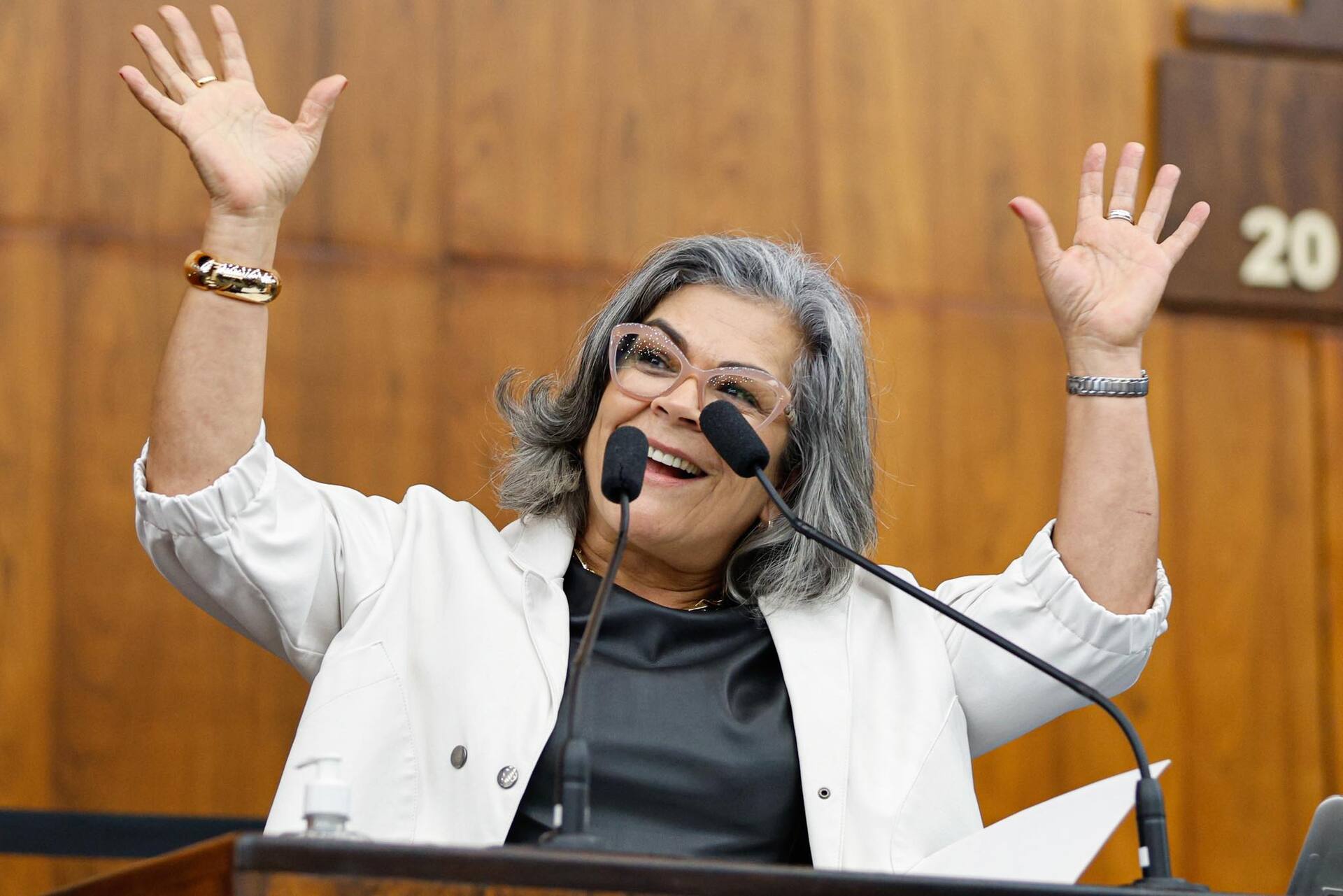 OAB Barro Preto - Comissão de Segurança promove roda de conversa na Câmara