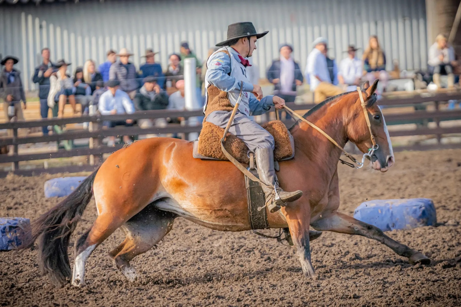 OAB Barro Preto - Cavalos de Bagé são destaque em classificatória no Uruguai