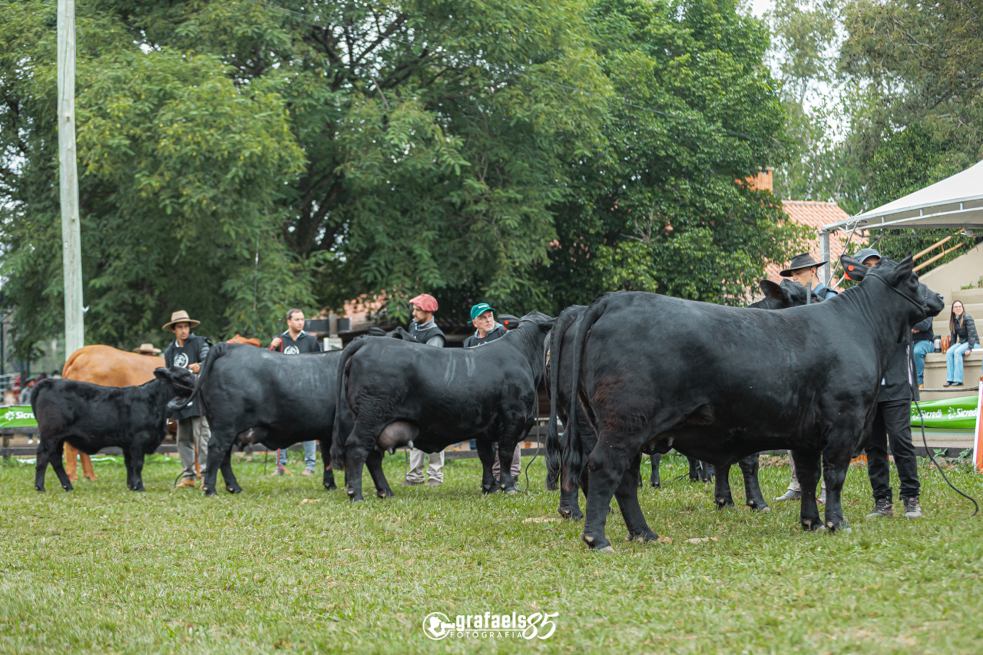 OAB Barro Preto - Uruguaiana sediará a ExpoBrangus 2025