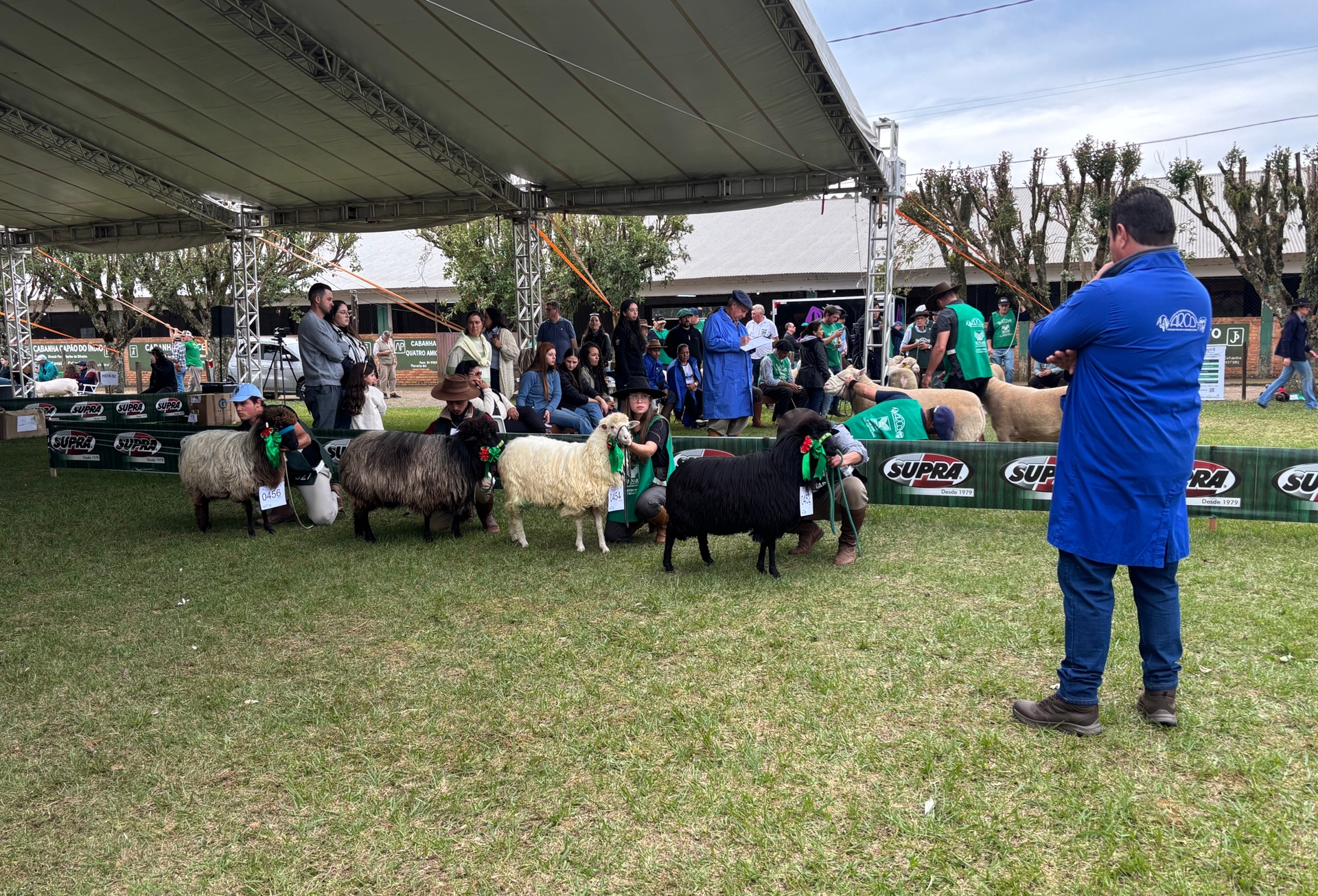 OAB Barro Preto - Fenovinos registra número recorde de animais participantes