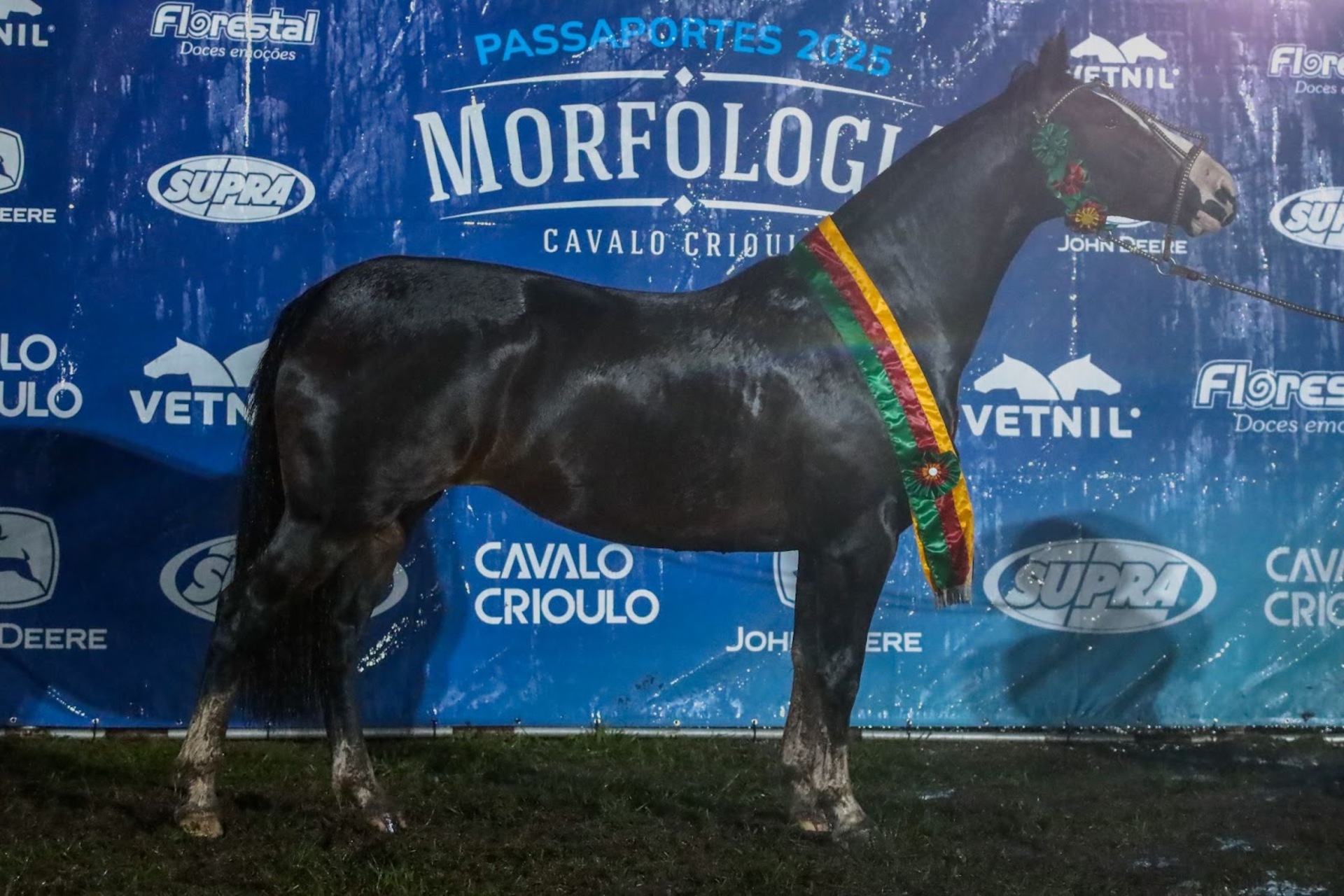 OAB Barro Preto - Basco Inocêncio é o Melhor Exemplar do Passaporte em Uruguaiana