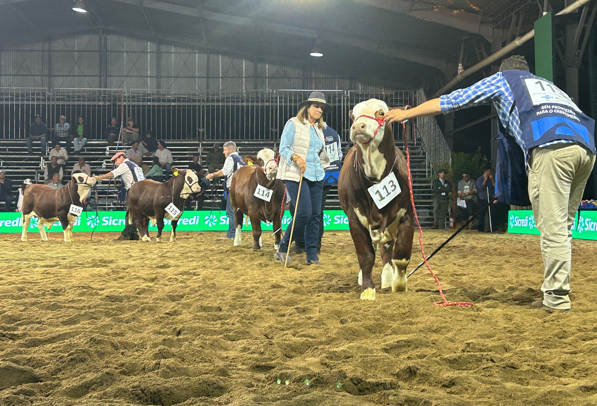 OAB Barro Preto - Brasil reafirma protagonismo global no 9º Congresso Mundial Braford