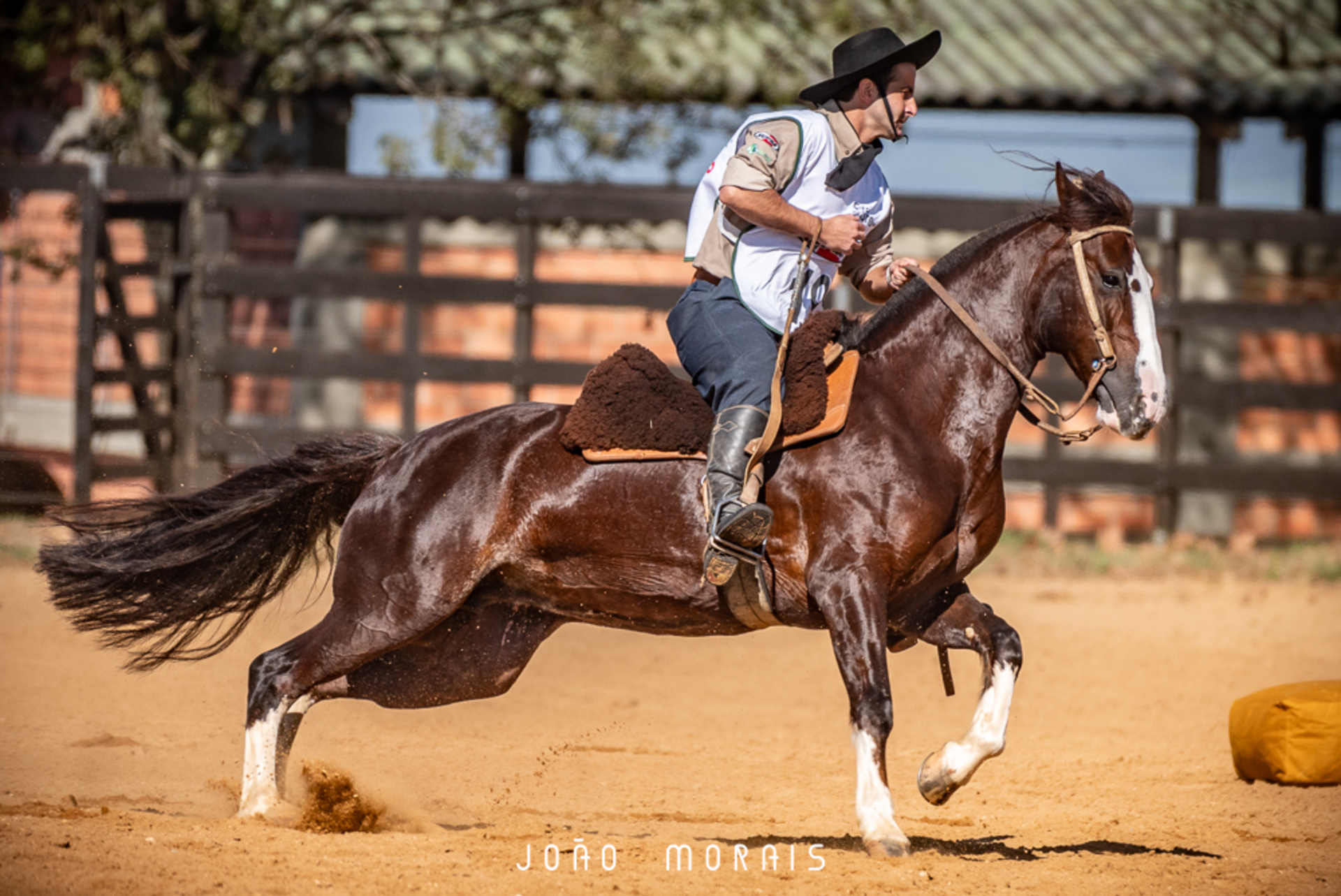 OAB Barro Preto - Classificatória Gaúcha Norte define vagas para o Freio de Ouro