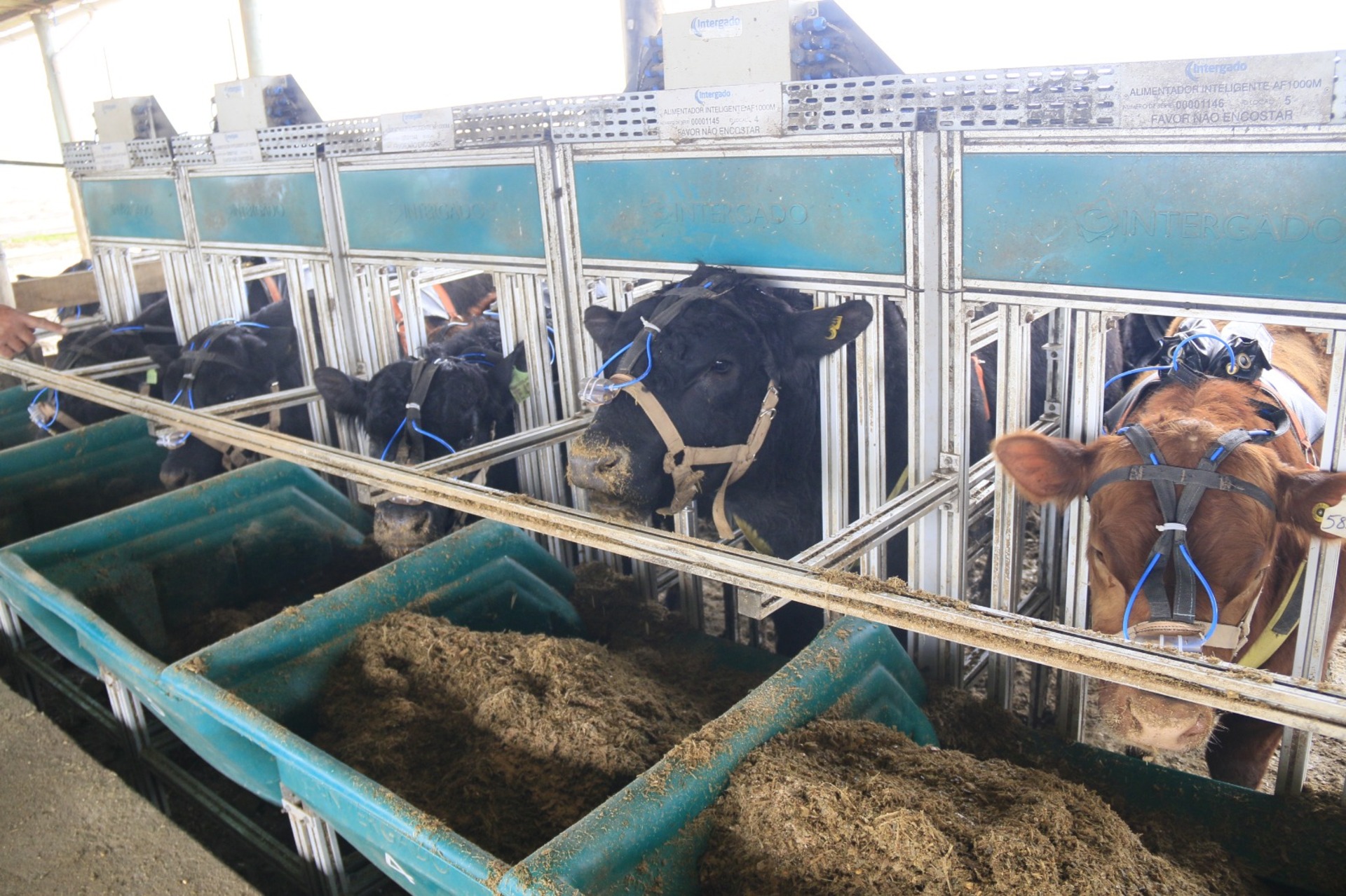 OAB Barro Preto - Vencedores da Prova de Eficiência Alimentar serão conhecidos no próximo dia 27