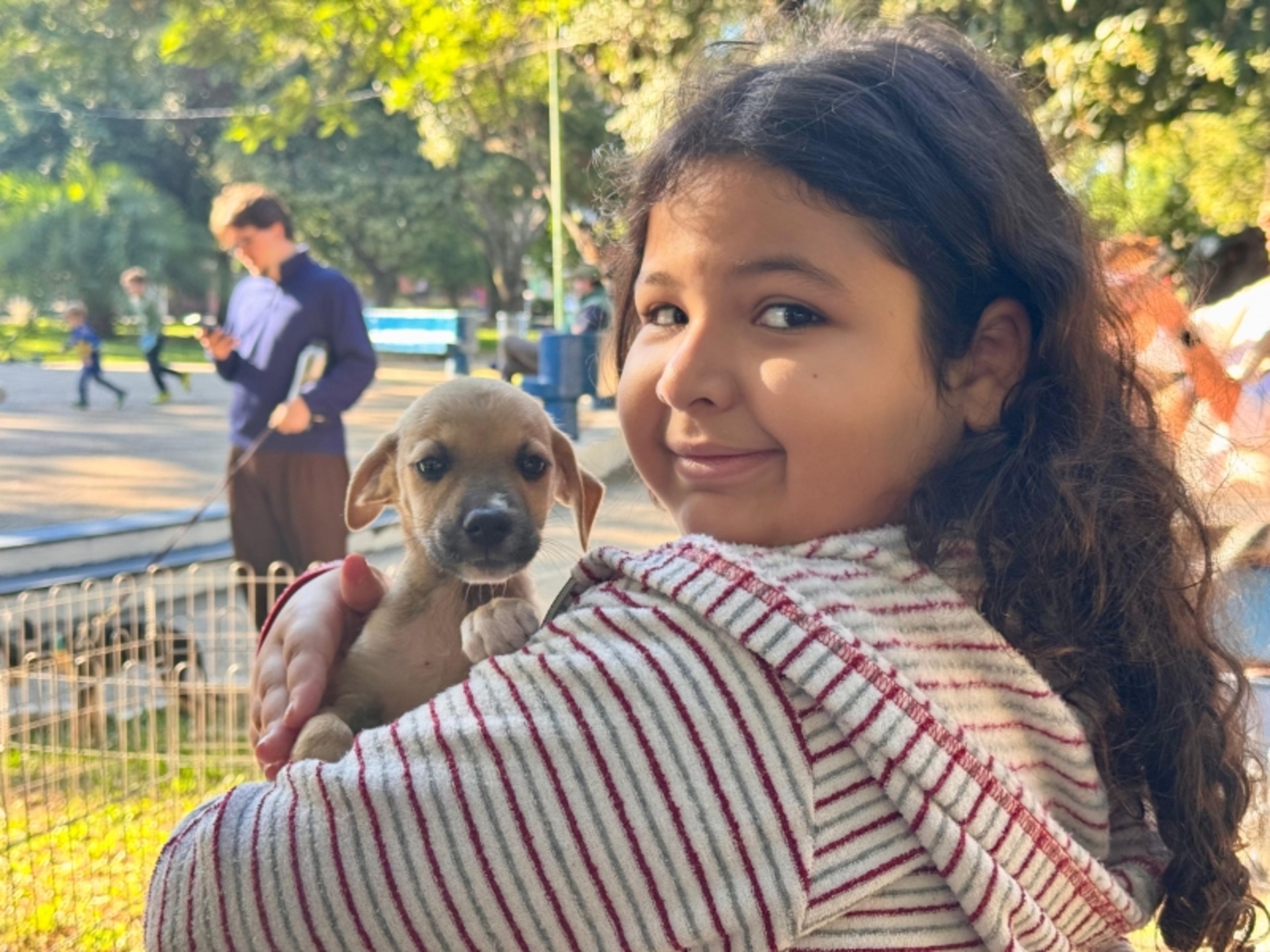 OAB Barro Preto - Praça terá feira de doação de cães no domingo
