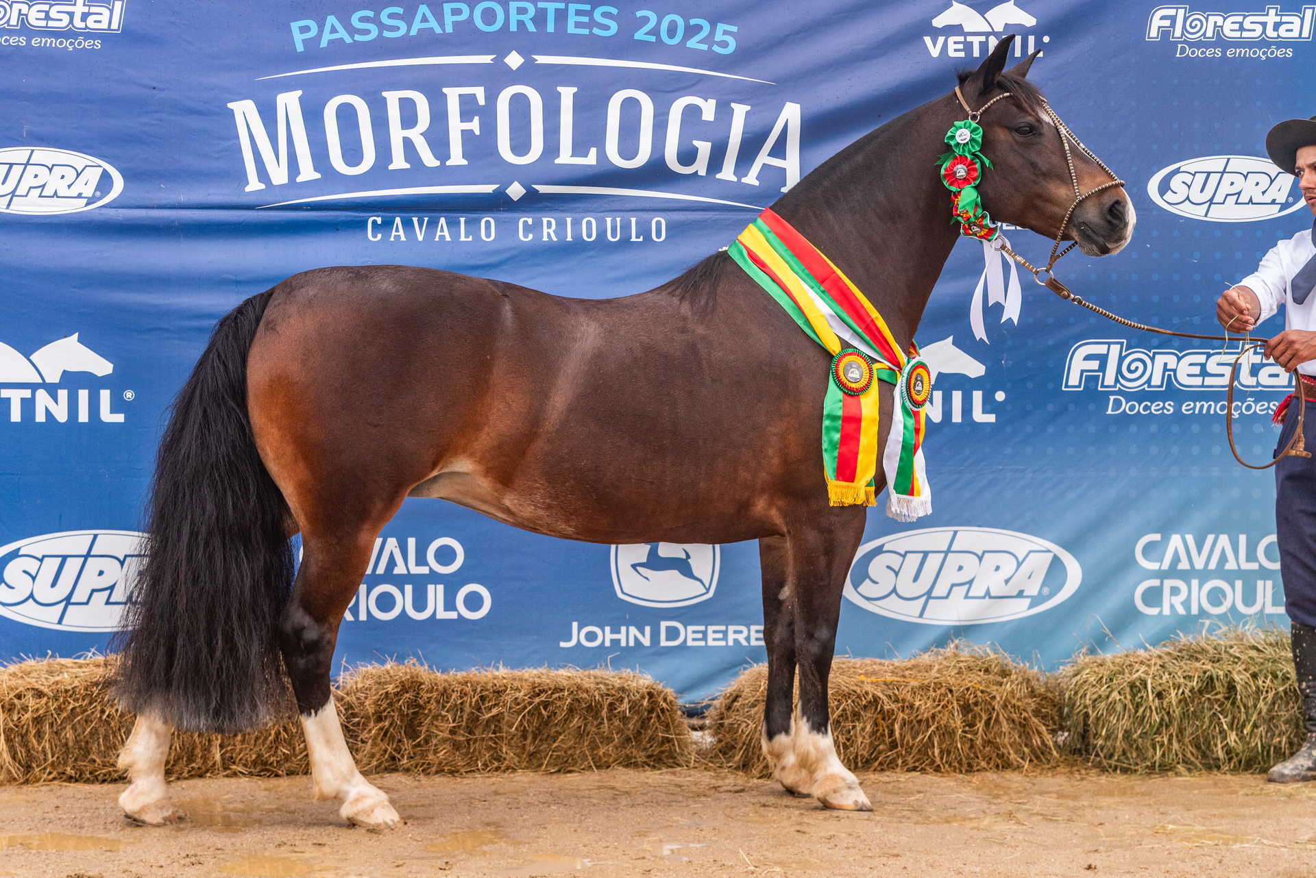 OAB Barro Preto - Conhecidos os últimos classificados para a final da Morfológico