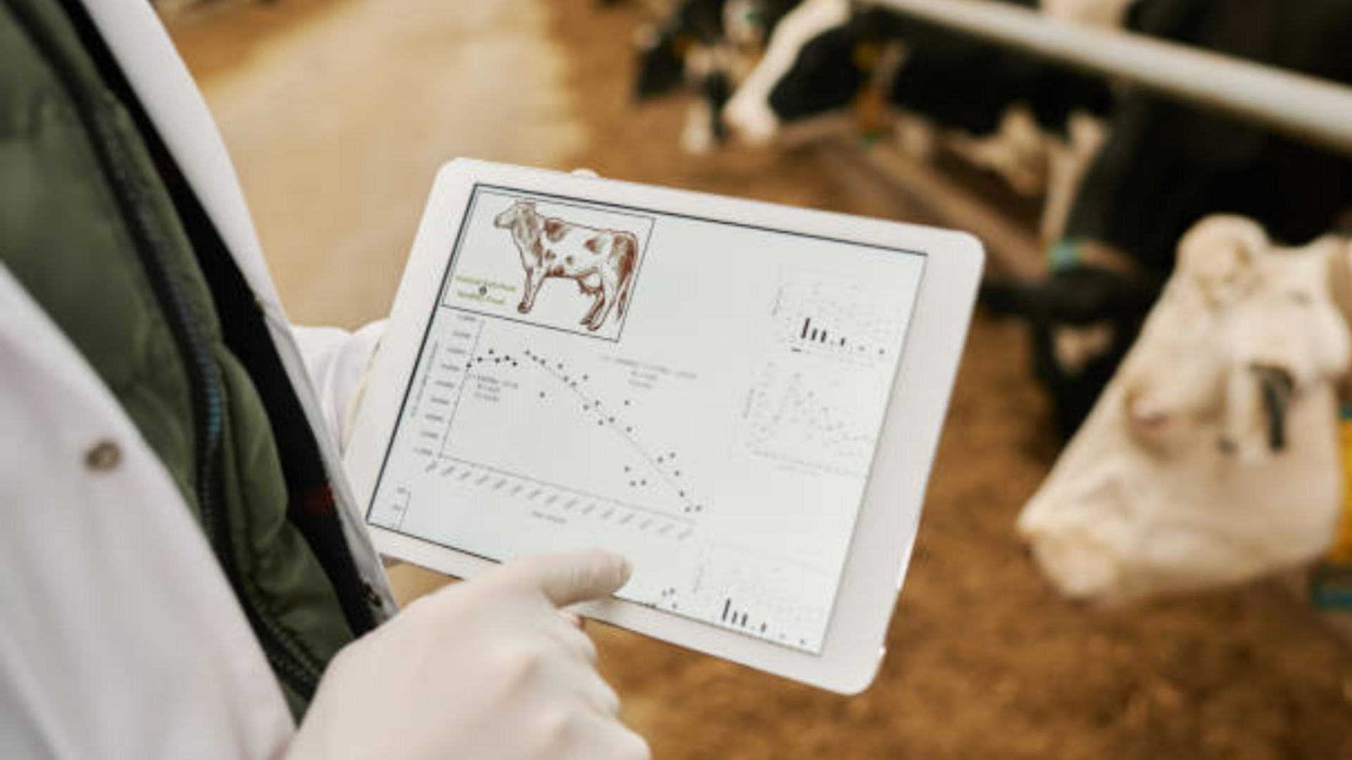 OAB Barro Preto - Projeto da Unipampa e Embrapa é destaque na NVIDIA