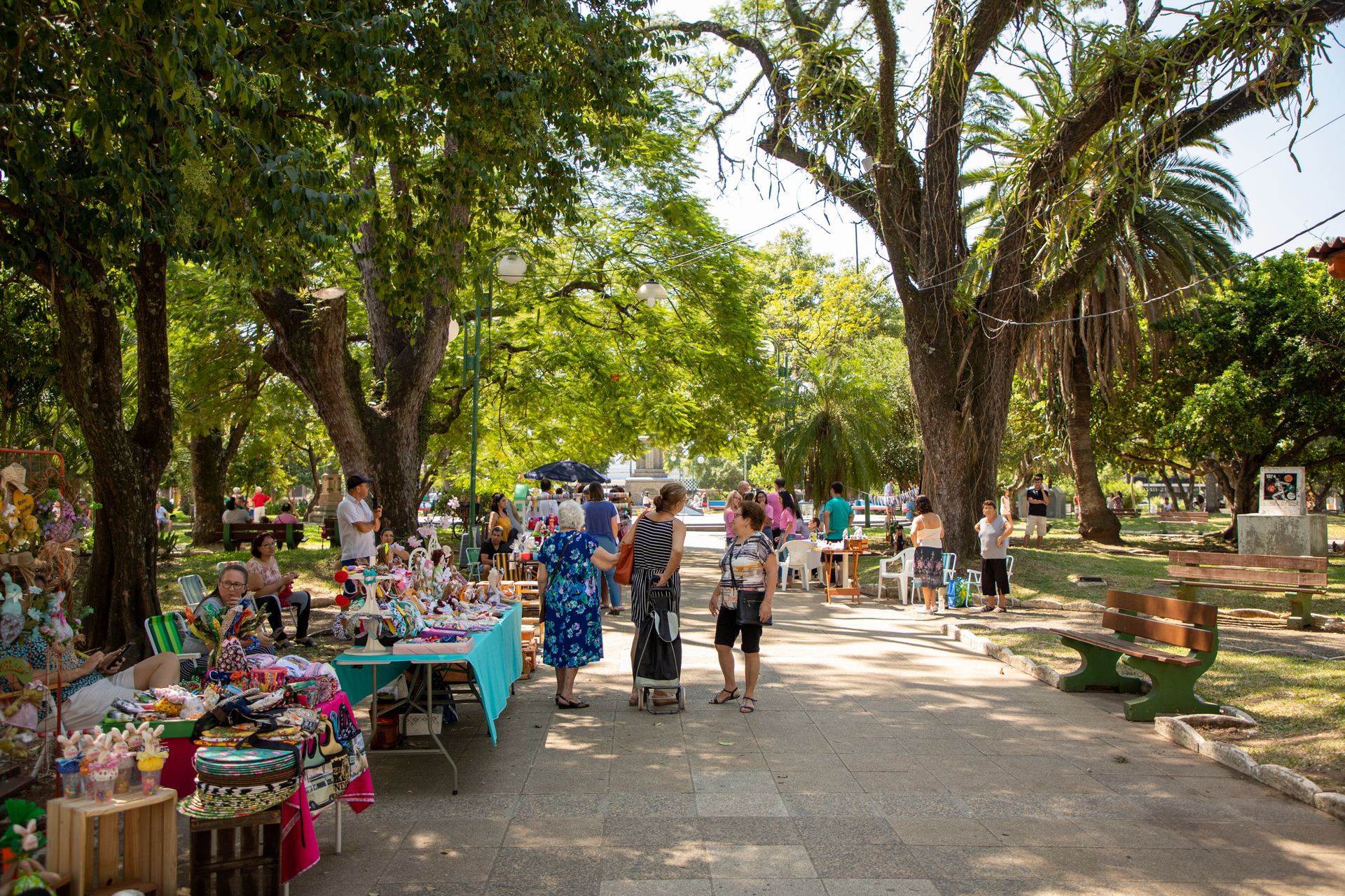 OAB Barro Preto - Vereadora sugere consulta popular sobre uso de empréstimo de R$ 100 milhões