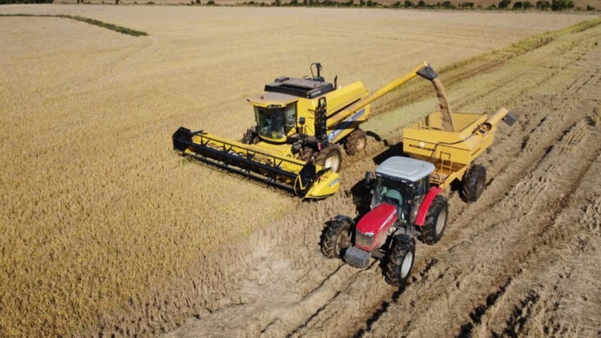 OAB Barro Preto - Uruguaiana é o maior produtor de arroz do RS nesta safra