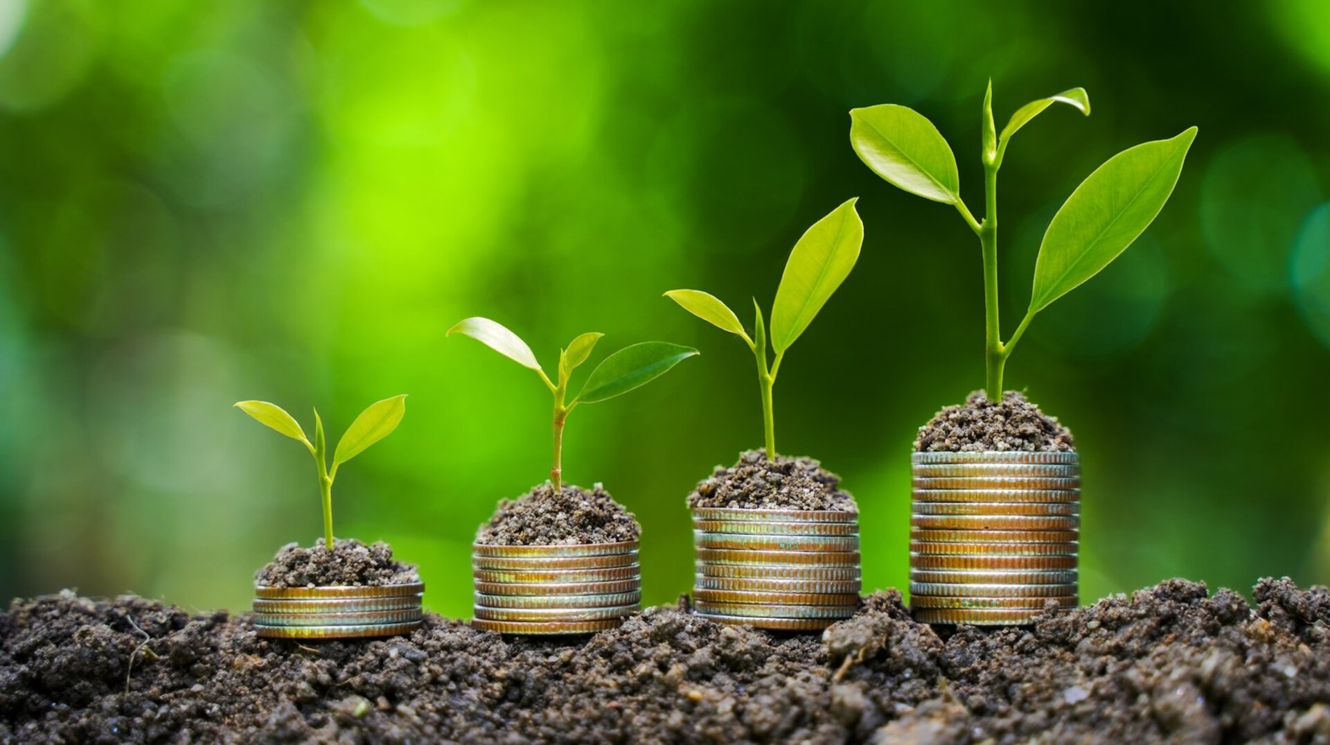 OAB Barro Preto - Estado assina termo com empresa dos EUA que prevê milhões em investimentos