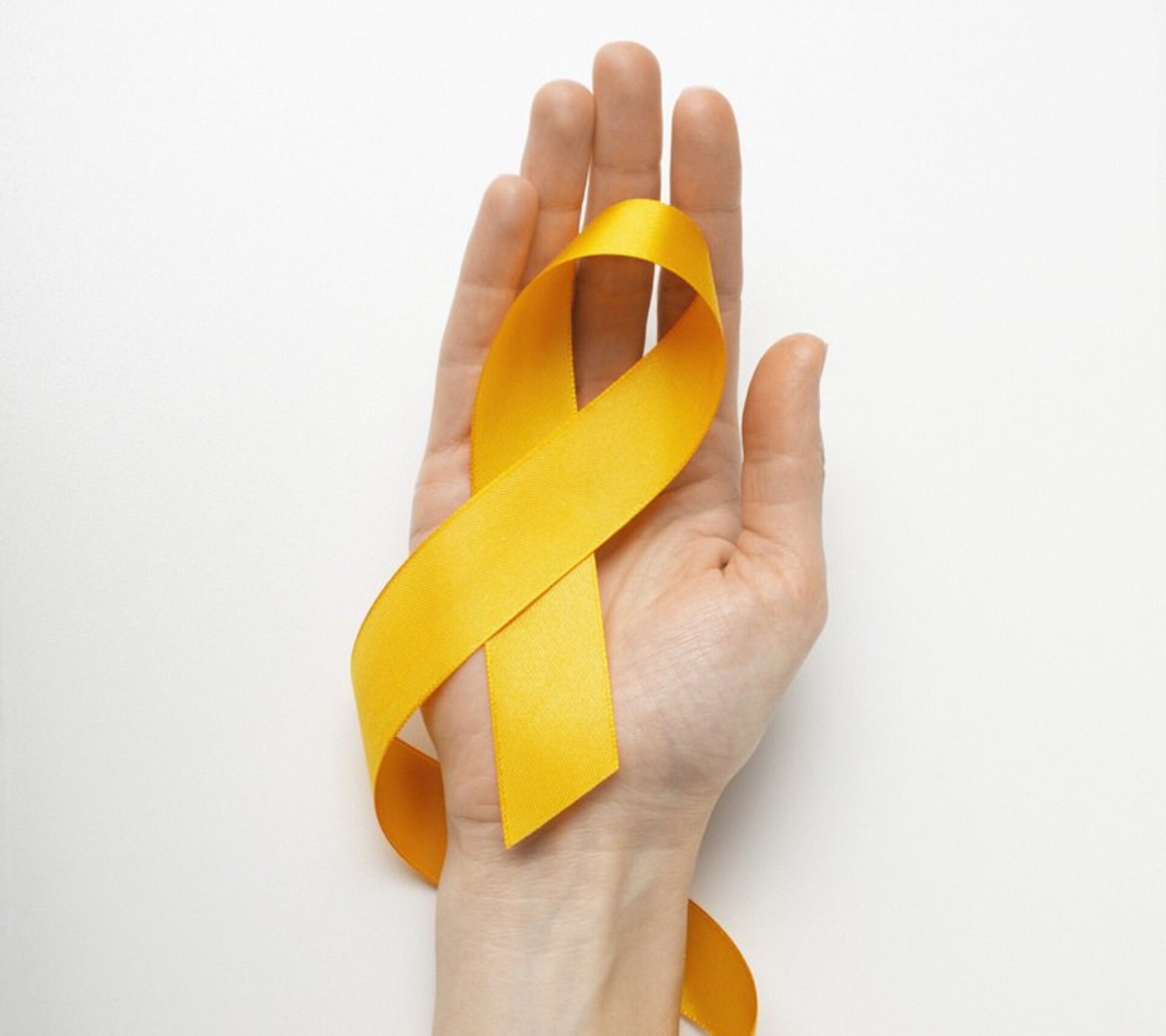 OAB Barro Preto - Município fará campanha de conscientização sobre hepatites virais