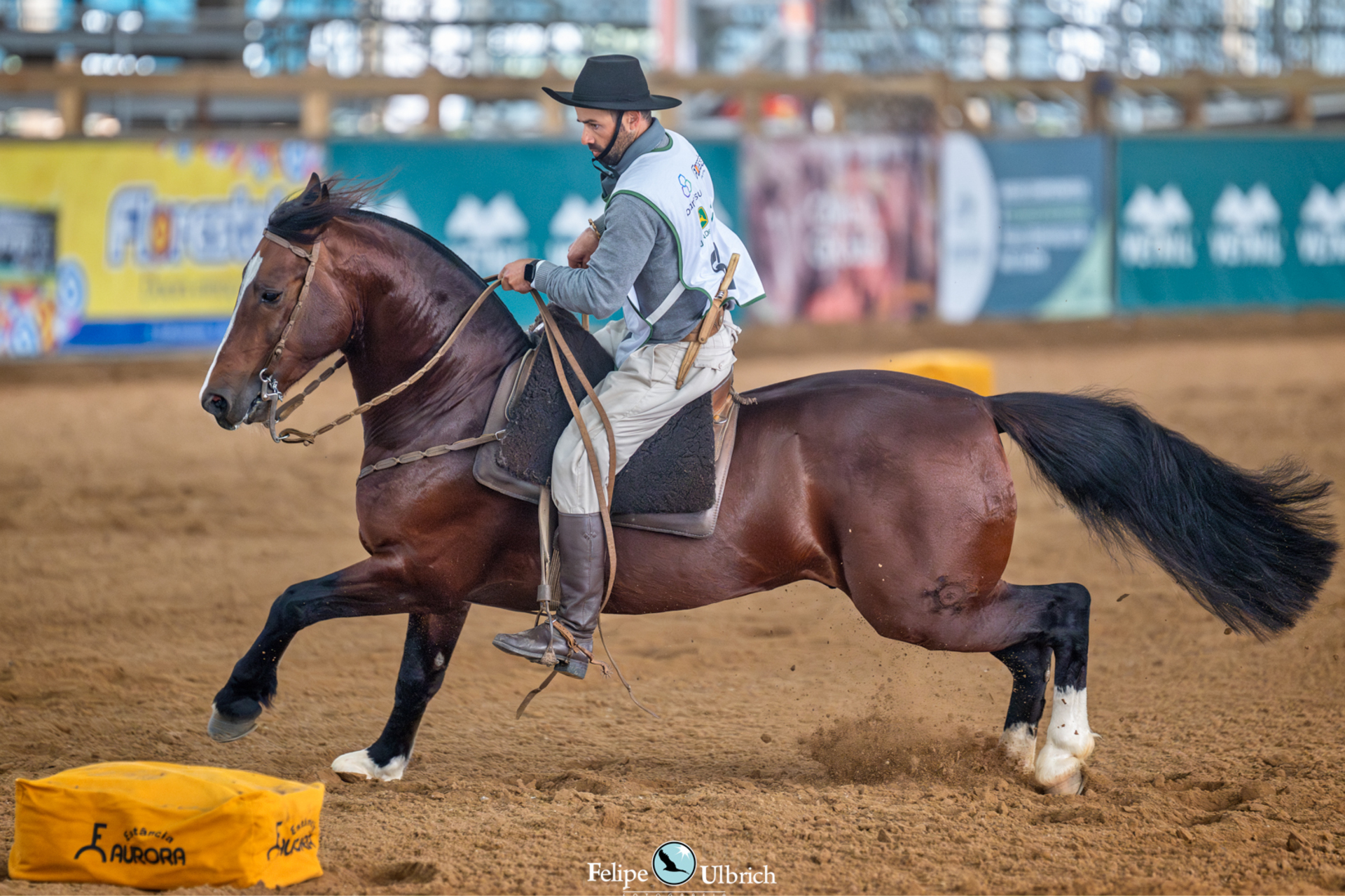 OAB Barro Preto - Classificatória define as últimas vagas para o Freio de Ouro 2025
