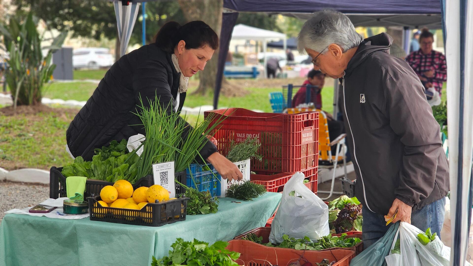 OAB Barro Preto - Prefeitura lança o RegularizaSIM para apoiar produtores locais