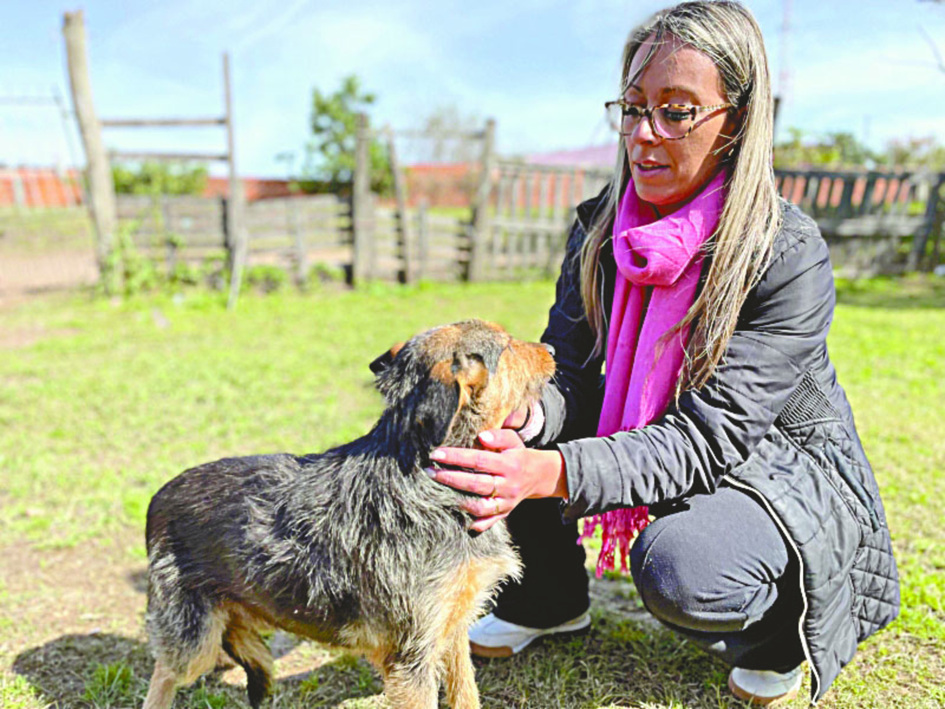 OAB Barro Preto - Semas faz visitas domiciliares para acompanhar cães adotados