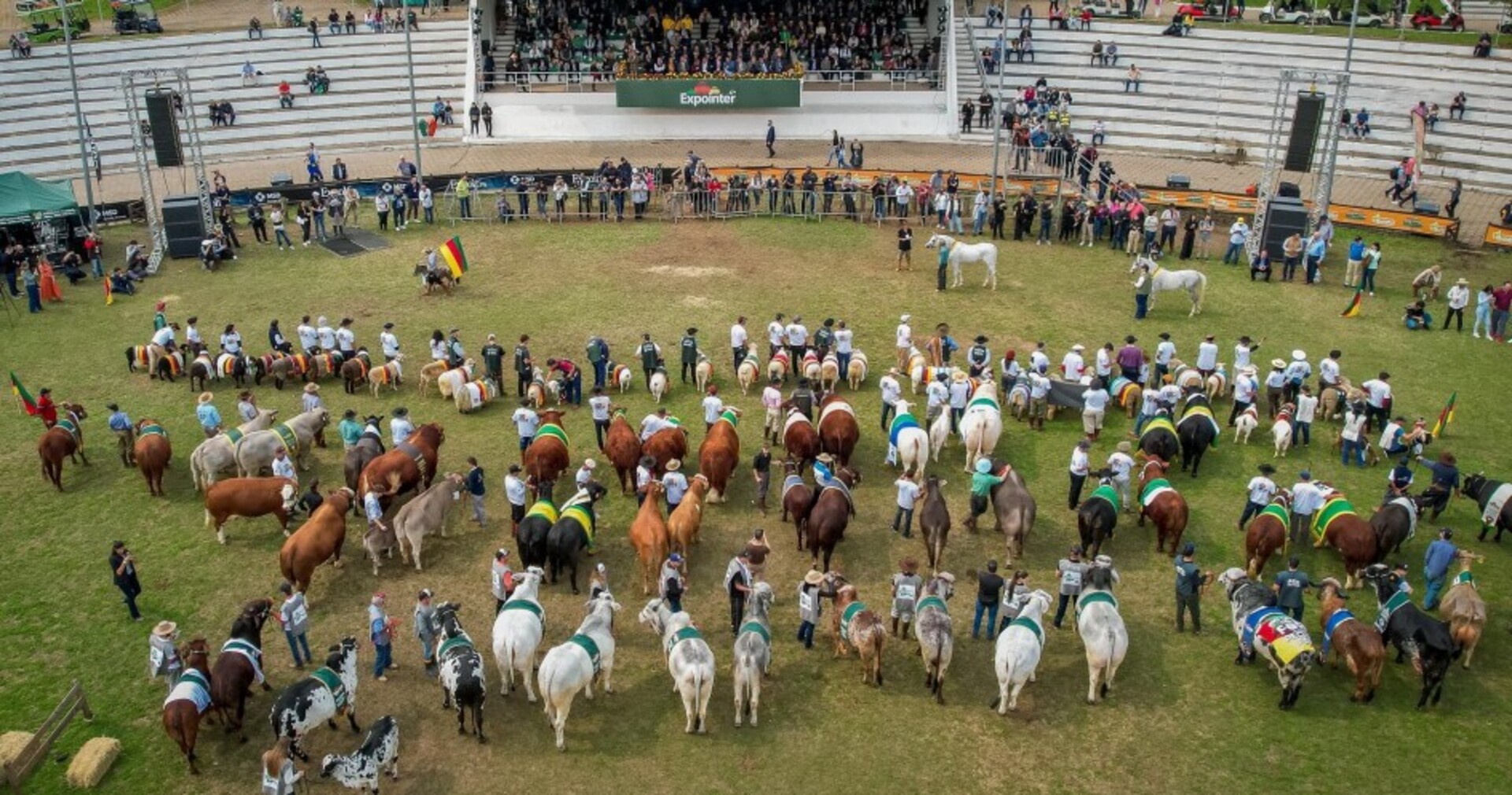 OAB Barro Preto - Expointer 2025 tem aumento de 47,69% na inscrição de animais de argola