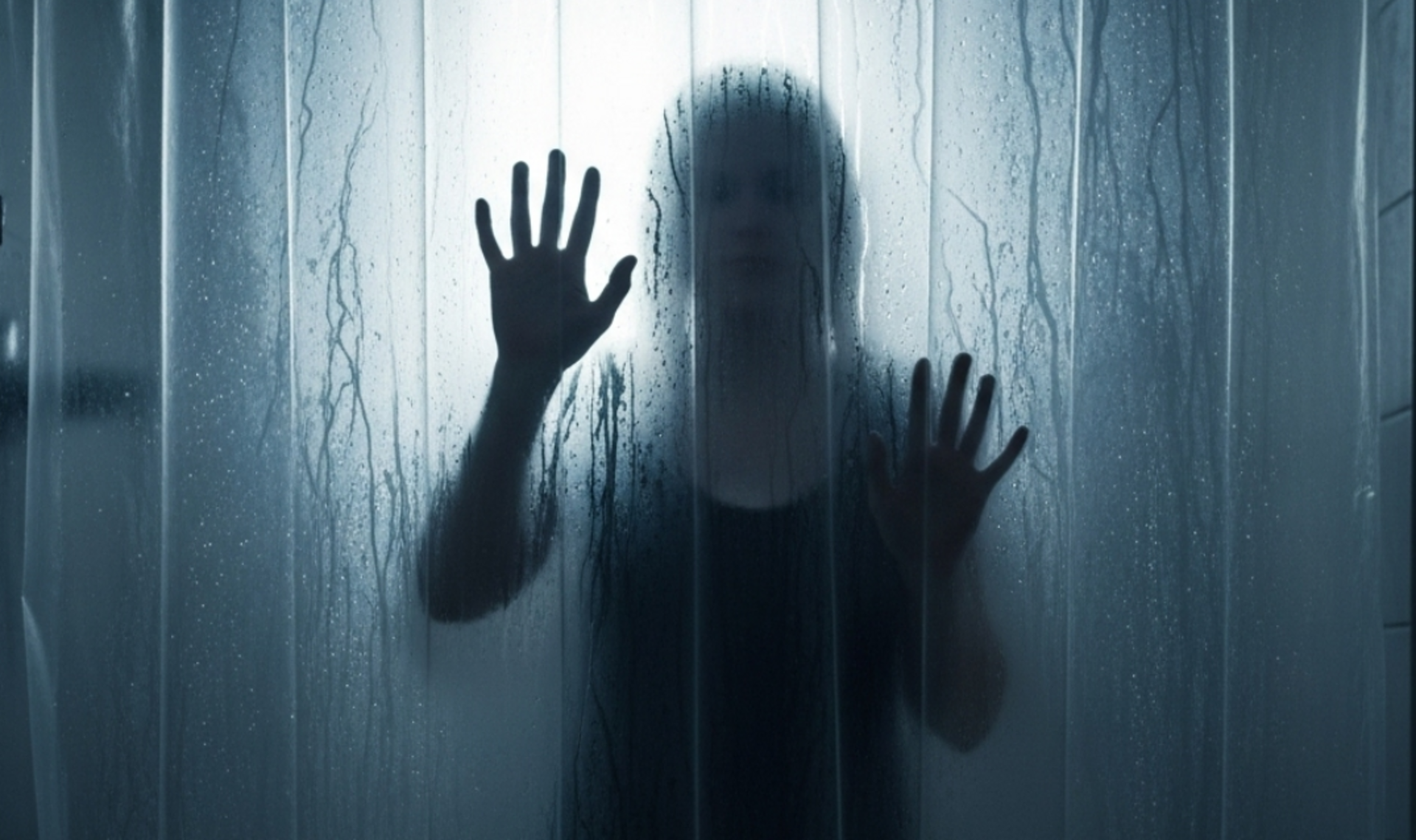 OAB Barro Preto - Preso homem que assassinou ex-companheira em Alegrete