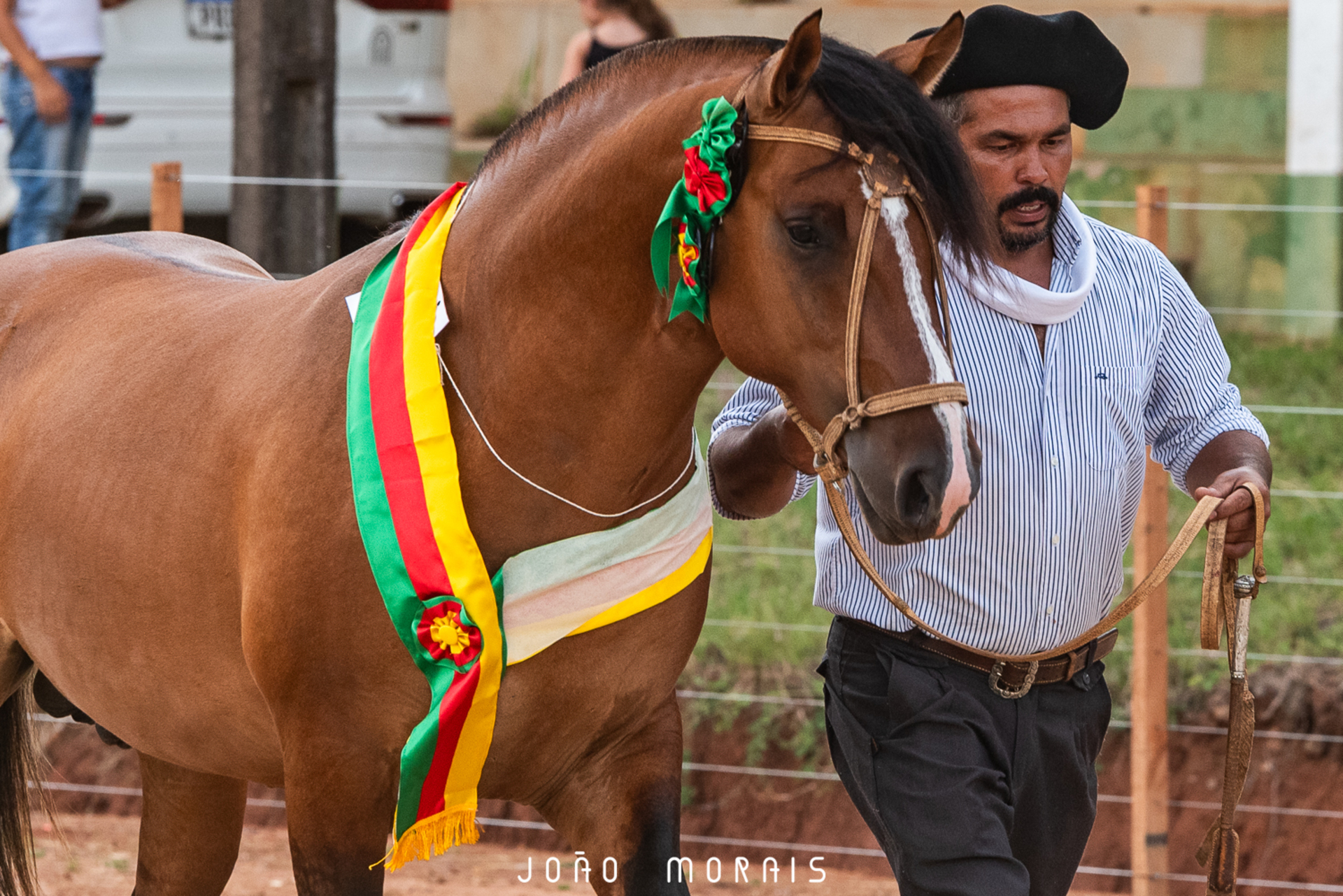 OAB Barro Preto - ABCCC inicia calendário de provas do Cavalo Crioulo 2025