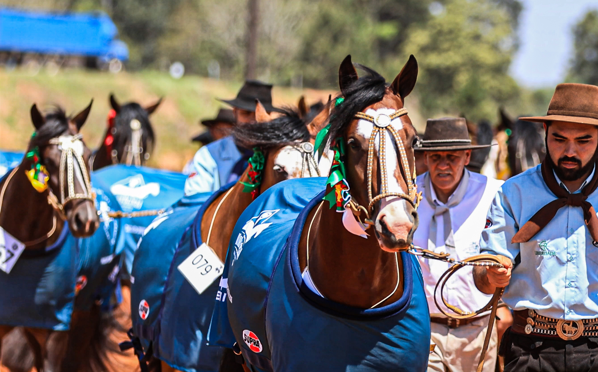 OAB Barro Preto - Aberto o ciclo de passaportes para a final da Morfologia