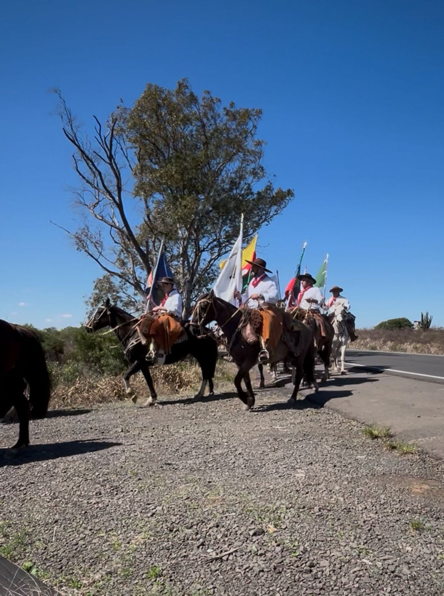 OAB Barro Preto - Uruguaiana recebe a Chama Crioula neste sábado