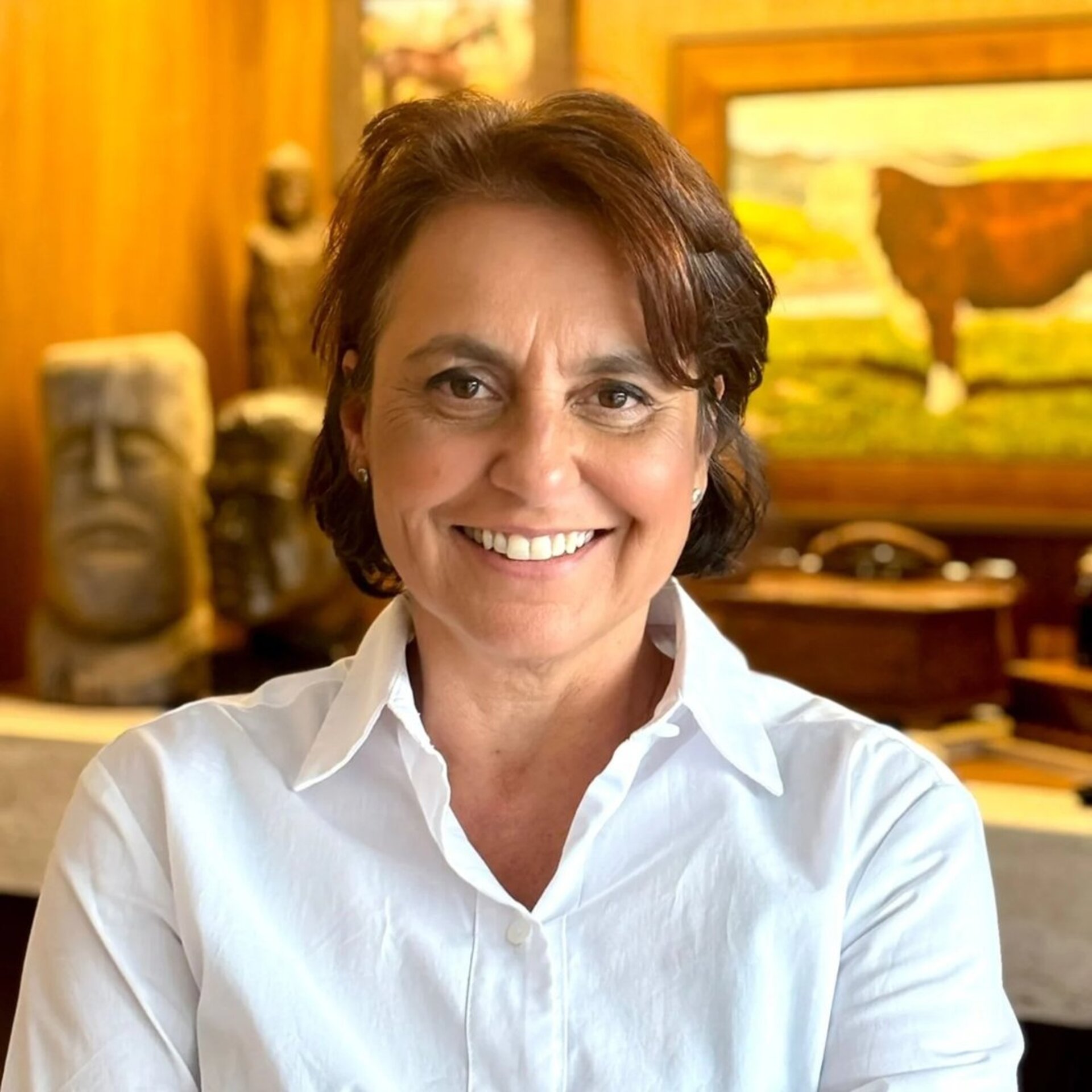 OAB Barro Preto - Vereadora judicializa processo legislativo