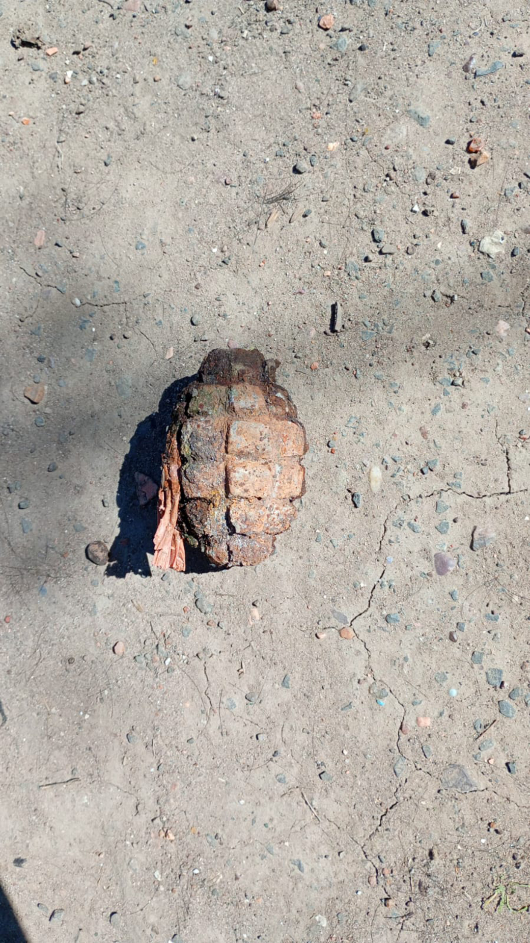 OAB Barro Preto - Morador encontra granada no quintal de casa