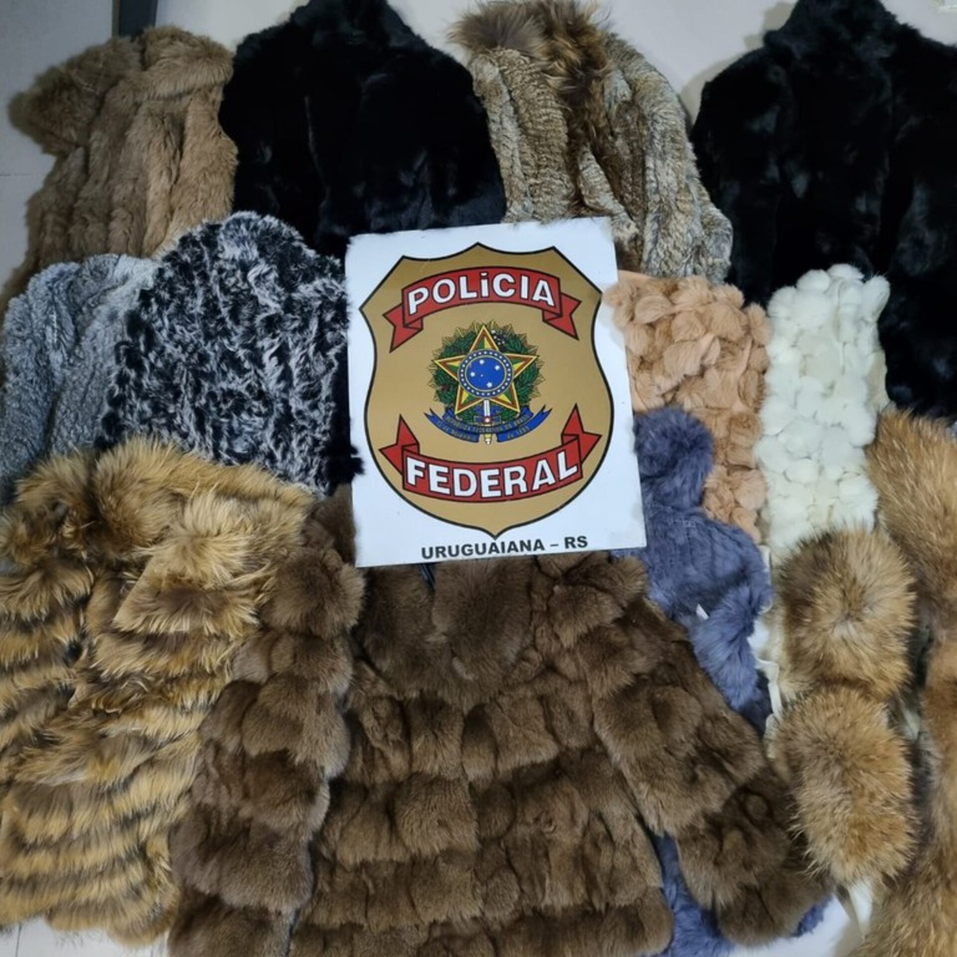 OAB Barro Preto - PF apreende casacos de pele de animais em operação