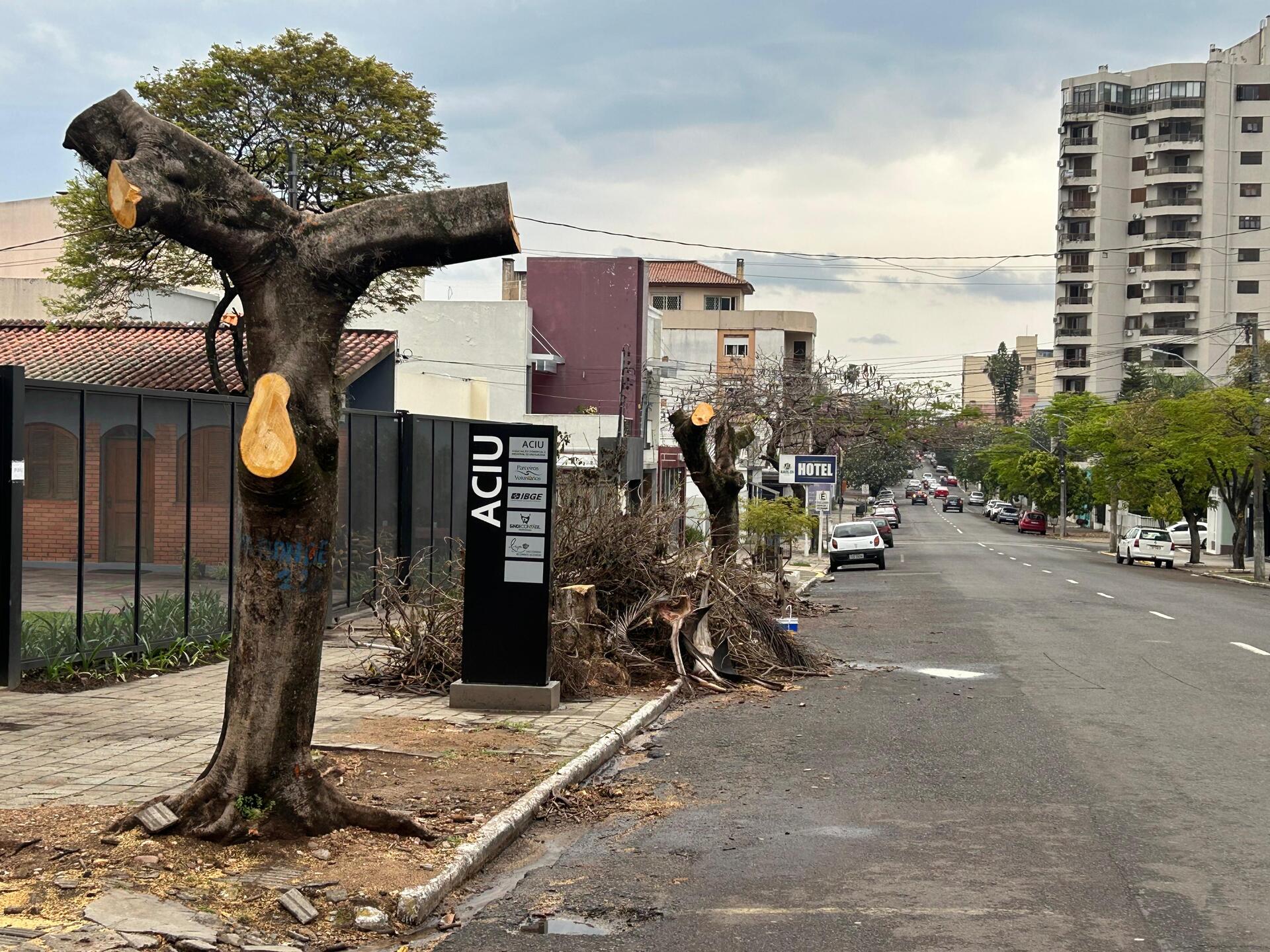 OAB Barro Preto - Risco para galeria pluvial gera poda e corte de árvores na Quinze
