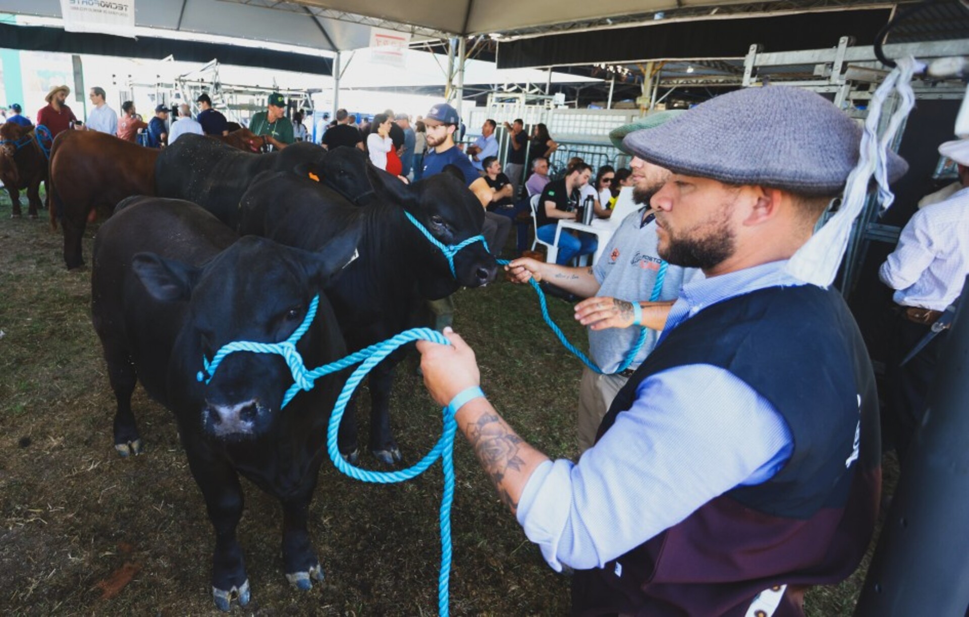 OAB Barro Preto - Expointer 2025 teve recorde de público, mas vendeu menos