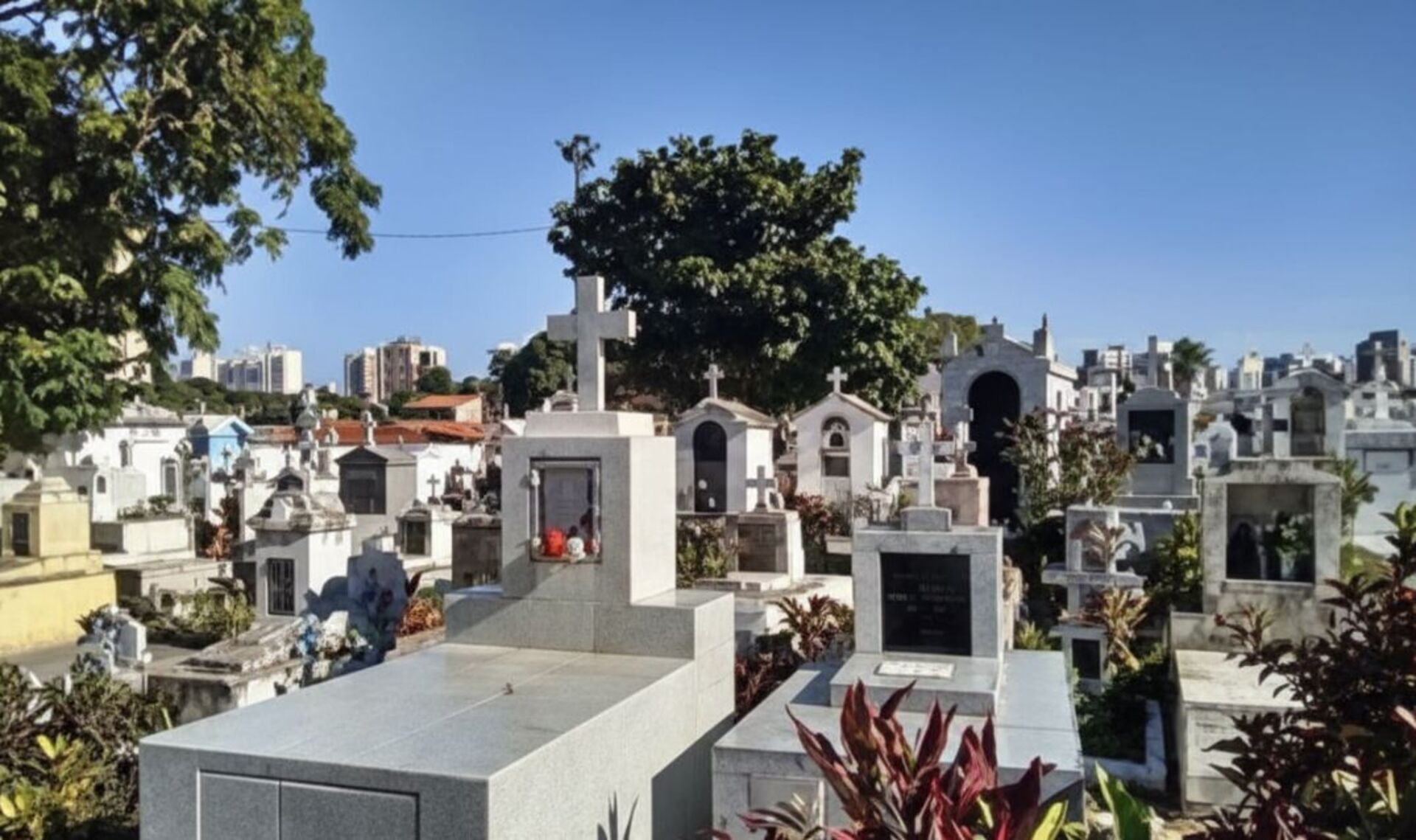 OAB Barro Preto - Dia de Finados deve atrair mais de 9 mil pessoas ao cemitério