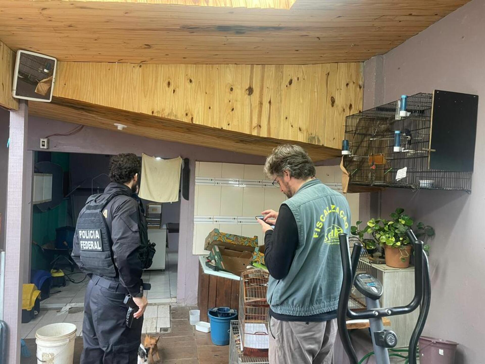 OAB Barro Preto - Polícia Federal apreende 24 aves silvestres