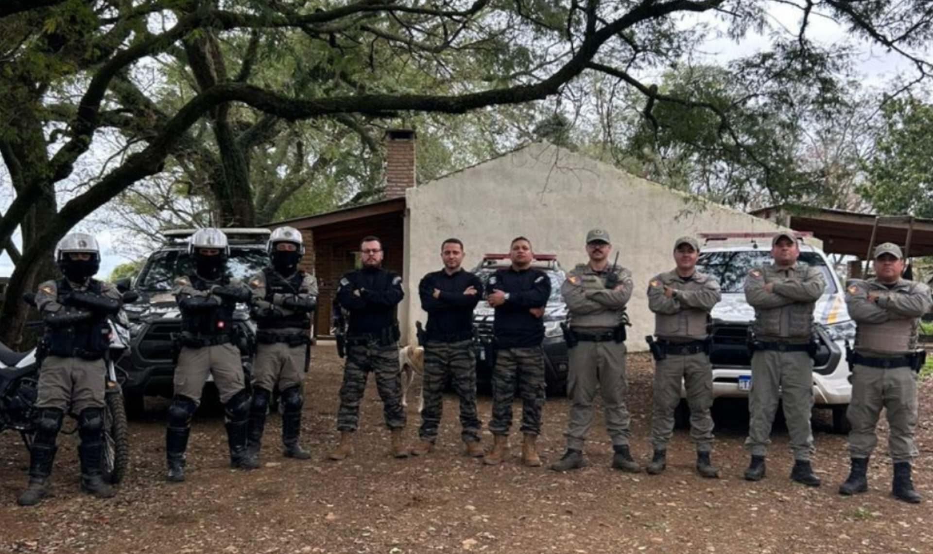 OAB Barro Preto - Operação conjunta resulta em prisão e apreensão de gado