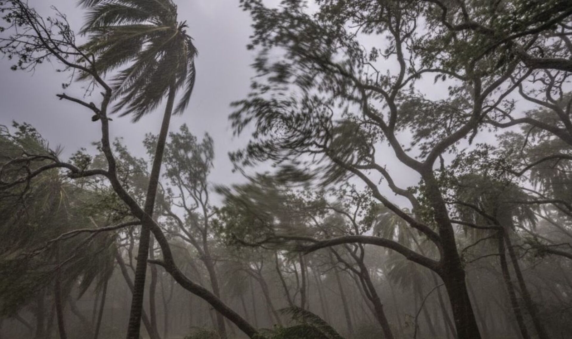 OAB Barro Preto - Defesa Civil alerta para risco de ciclone nesta sexta-feira