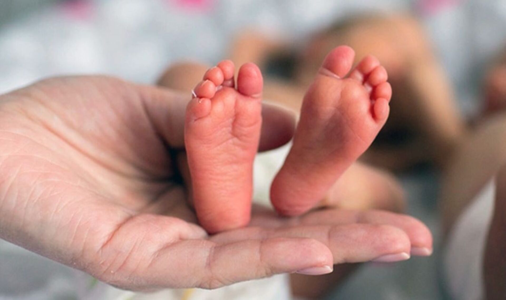 OAB Barro Preto - Unipampa promove simpósio sobre prematuridade