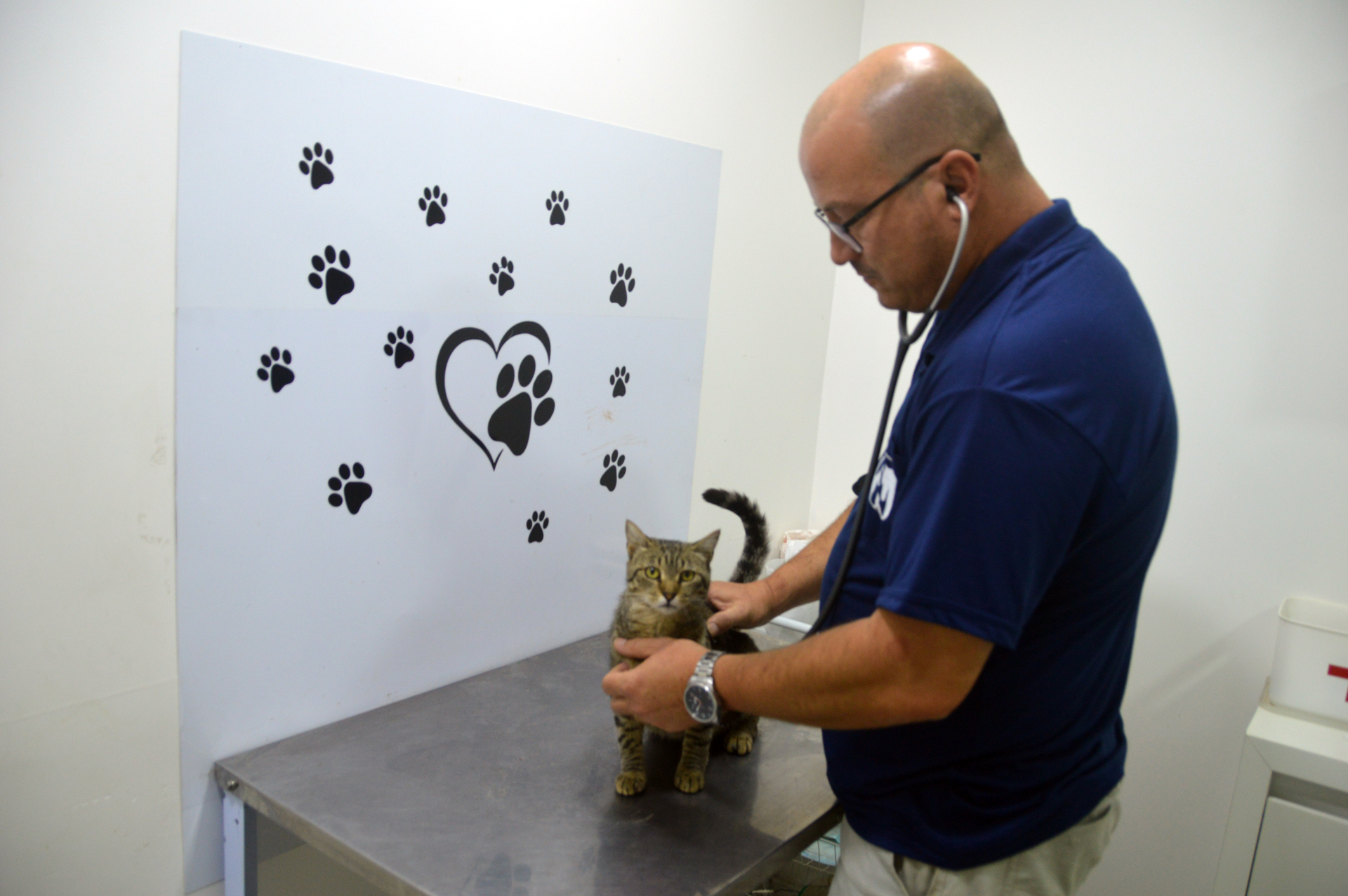 OAB Barro Preto - PL dá o nome de Dr. Giovani Dalcastagnê à Clínica Veterinária Municipal