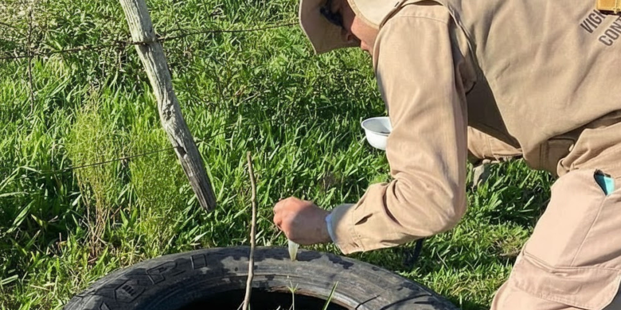 OAB Barro Preto - Indicadores da dengue seguem estáveis em dezembro