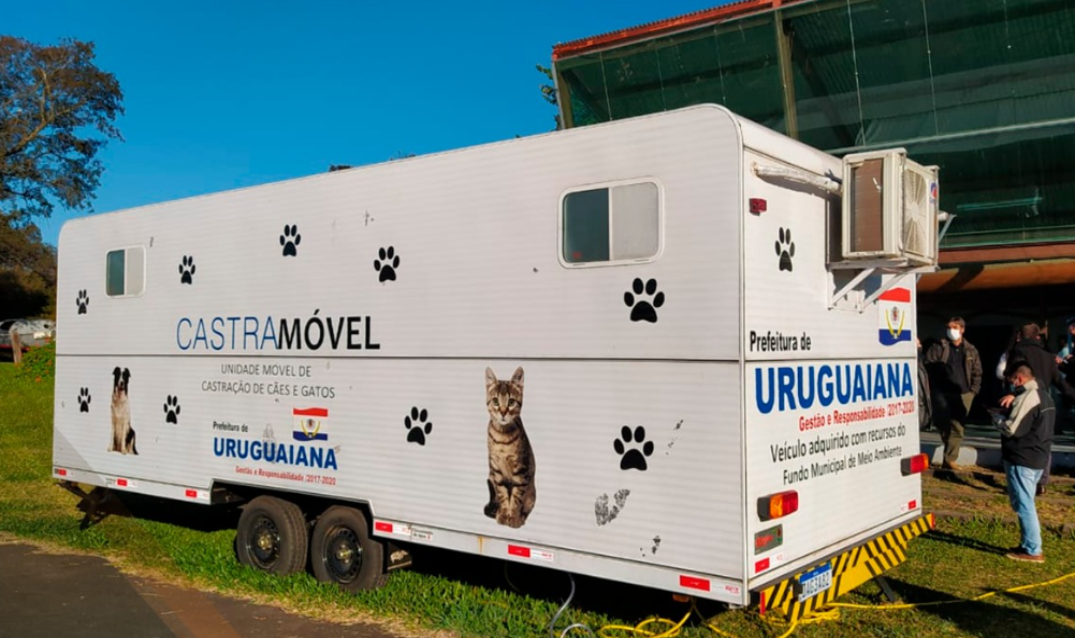 OAB Barro Preto - Castrações e acolhimento de animais abandonados retornam em janeiro 